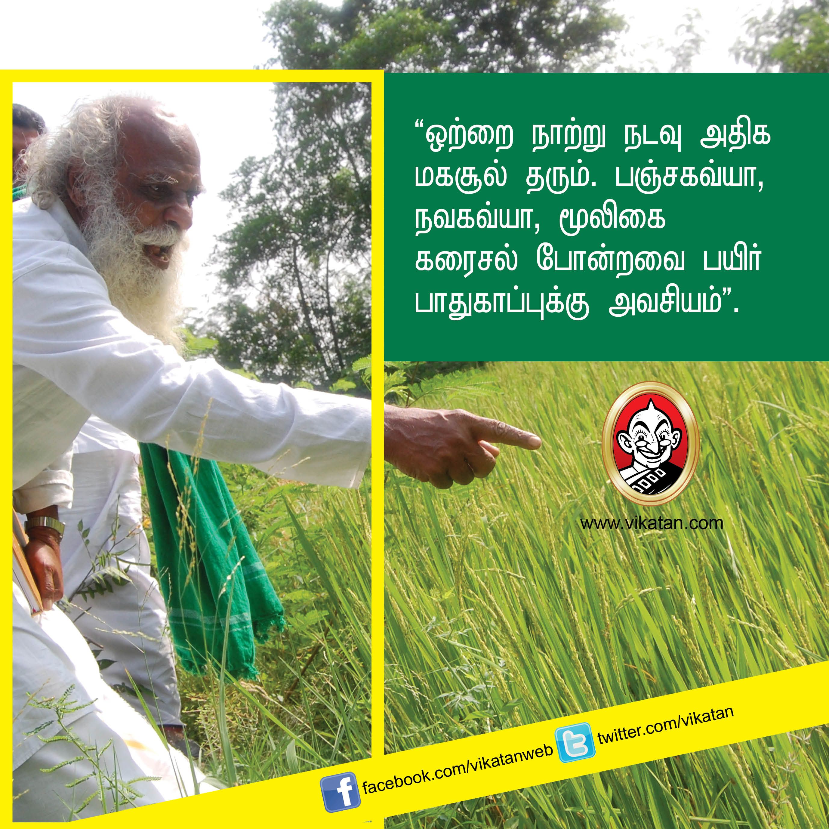 “விவசாயம் என்பது வியாபாரம் அல்ல... வாழ்க்கை முறை!” - நம்மாழ்வார் சொன்ன நல்விஷயங்கள் #VikatanPhotoStory “விவசாயம் என்பது வியாபாரம் அல்ல... வாழ்க்கை முறை!” - நம்மாழ்வார் சொன்ன நல்விஷயங்கள் #VikatanPhotoStory