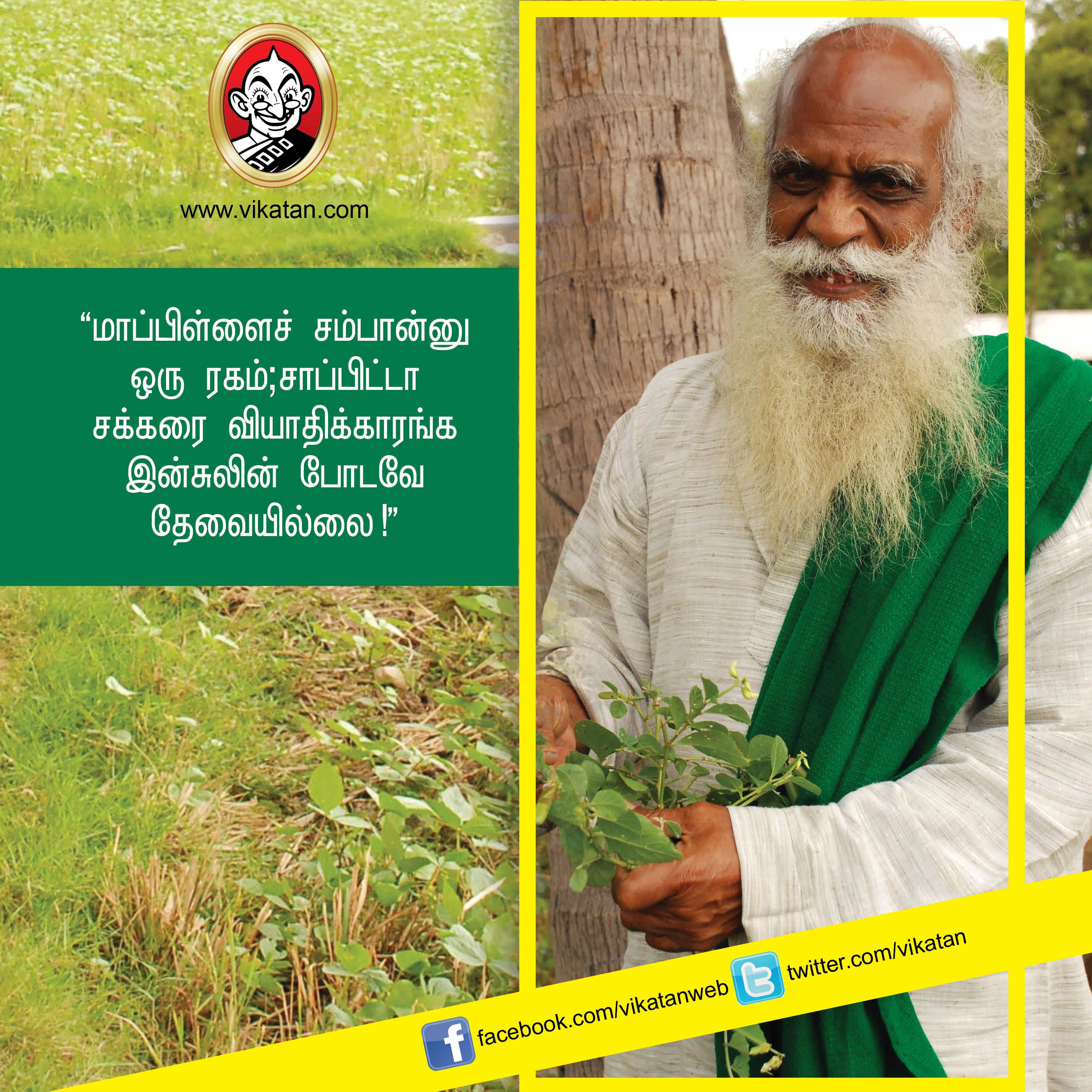 “விவசாயம் என்பது வியாபாரம் அல்ல... வாழ்க்கை முறை!” - நம்மாழ்வார் சொன்ன நல்விஷயங்கள் #VikatanPhotoStory “விவசாயம் என்பது வியாபாரம் அல்ல... வாழ்க்கை முறை!” - நம்மாழ்வார் சொன்ன நல்விஷயங்கள் #VikatanPhotoStory