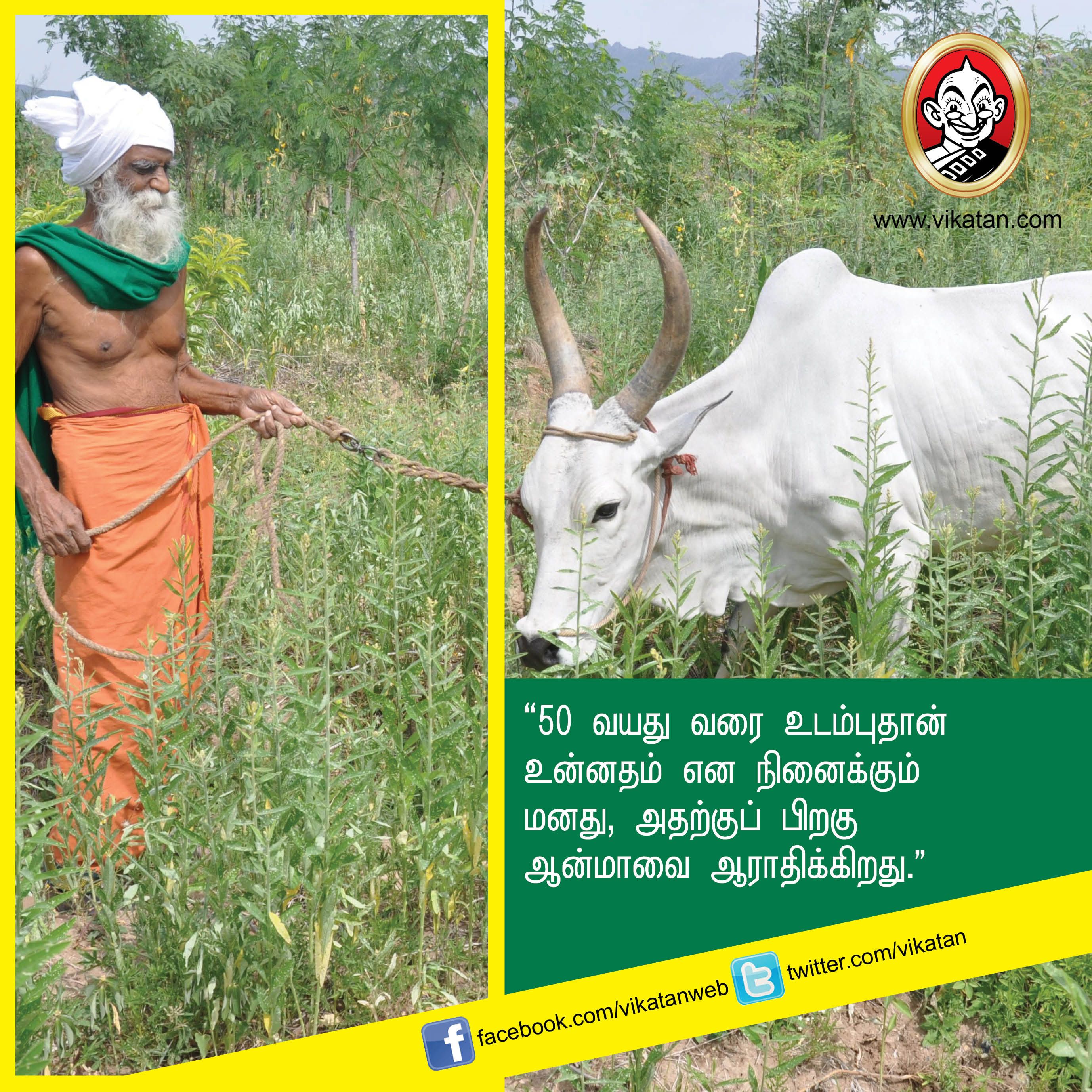 “விவசாயம் என்பது வியாபாரம் அல்ல... வாழ்க்கை முறை!” - நம்மாழ்வார் சொன்ன நல்விஷயங்கள் #VikatanPhotoStory “விவசாயம் என்பது வியாபாரம் அல்ல... வாழ்க்கை முறை!” - நம்மாழ்வார் சொன்ன நல்விஷயங்கள் #VikatanPhotoStory