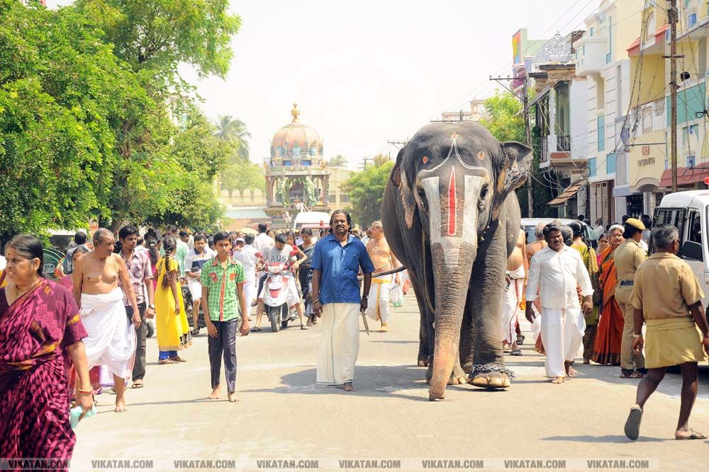 திருச்சி ஸ்ரீரங்கம் கோயில் பங்குனி தேர் திருவிழா! படங்கள் - என்.ஜி.மணிகண்டன் திருச்சி ஸ்ரீரங்கம் கோயில் பங்குனி தேர் திருவிழா! படங்கள் - என்.ஜி.மணிகண்டன்
