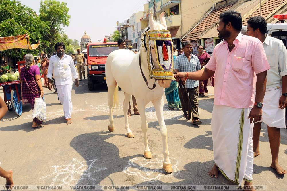 திருச்சி ஸ்ரீரங்கம் கோயில் பங்குனி தேர் திருவிழா! படங்கள் - என்.ஜி.மணிகண்டன் திருச்சி ஸ்ரீரங்கம் கோயில் பங்குனி தேர் திருவிழா! படங்கள் - என்.ஜி.மணிகண்டன்
