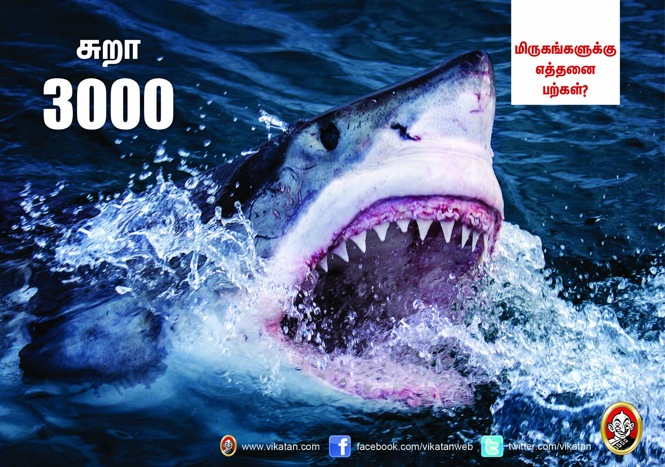 சிங்கம் 30... நாய் 42... மிருகங்களுக்கு எத்தனை பற்கள்? #VikatanPhotoCards சிங்கம் 30... நாய் 42... மிருகங்களுக்கு எத்தனை பற்கள்? #VikatanPhotoCards