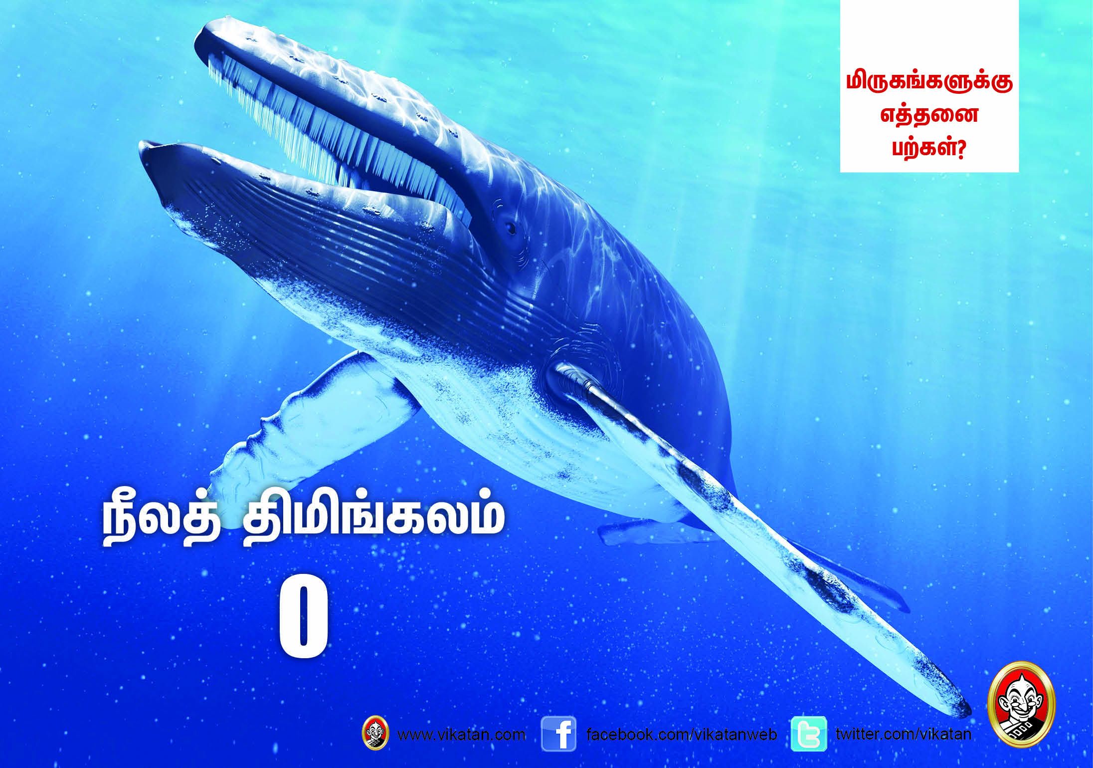சிங்கம் 30... நாய் 42... மிருகங்களுக்கு எத்தனை பற்கள்? #VikatanPhotoCards சிங்கம் 30... நாய் 42... மிருகங்களுக்கு எத்தனை பற்கள்? #VikatanPhotoCards