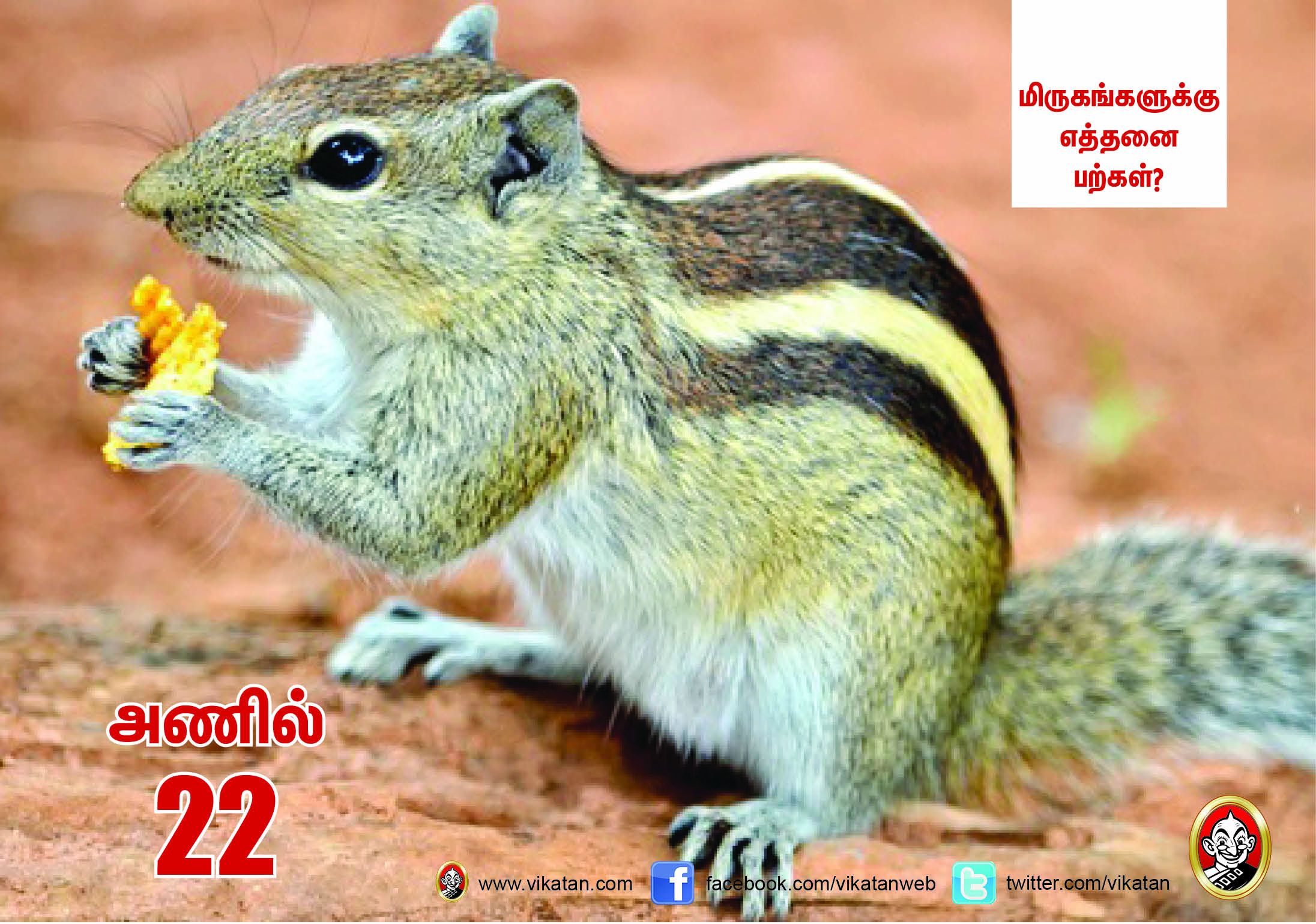 சிங்கம் 30... நாய் 42... மிருகங்களுக்கு எத்தனை பற்கள்? #VikatanPhotoCards சிங்கம் 30... நாய் 42... மிருகங்களுக்கு எத்தனை பற்கள்? #VikatanPhotoCards