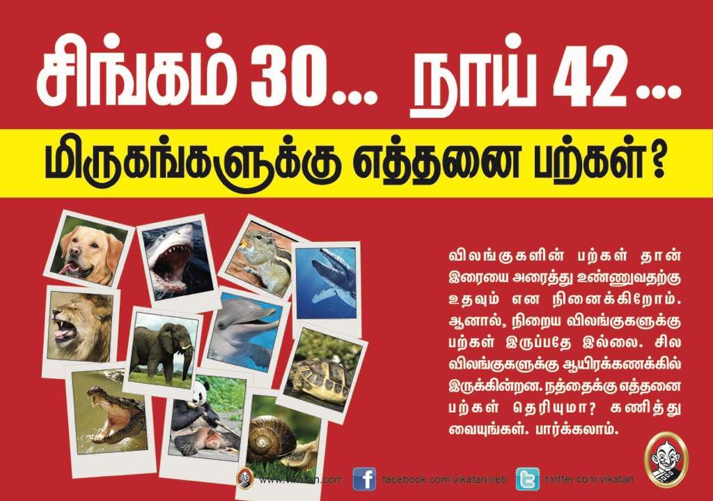 சிங்கம் 30... நாய் 42... மிருகங்களுக்கு எத்தனை பற்கள்? #VikatanPhotoCards சிங்கம் 30... நாய் 42... மிருகங்களுக்கு எத்தனை பற்கள்? #VikatanPhotoCards