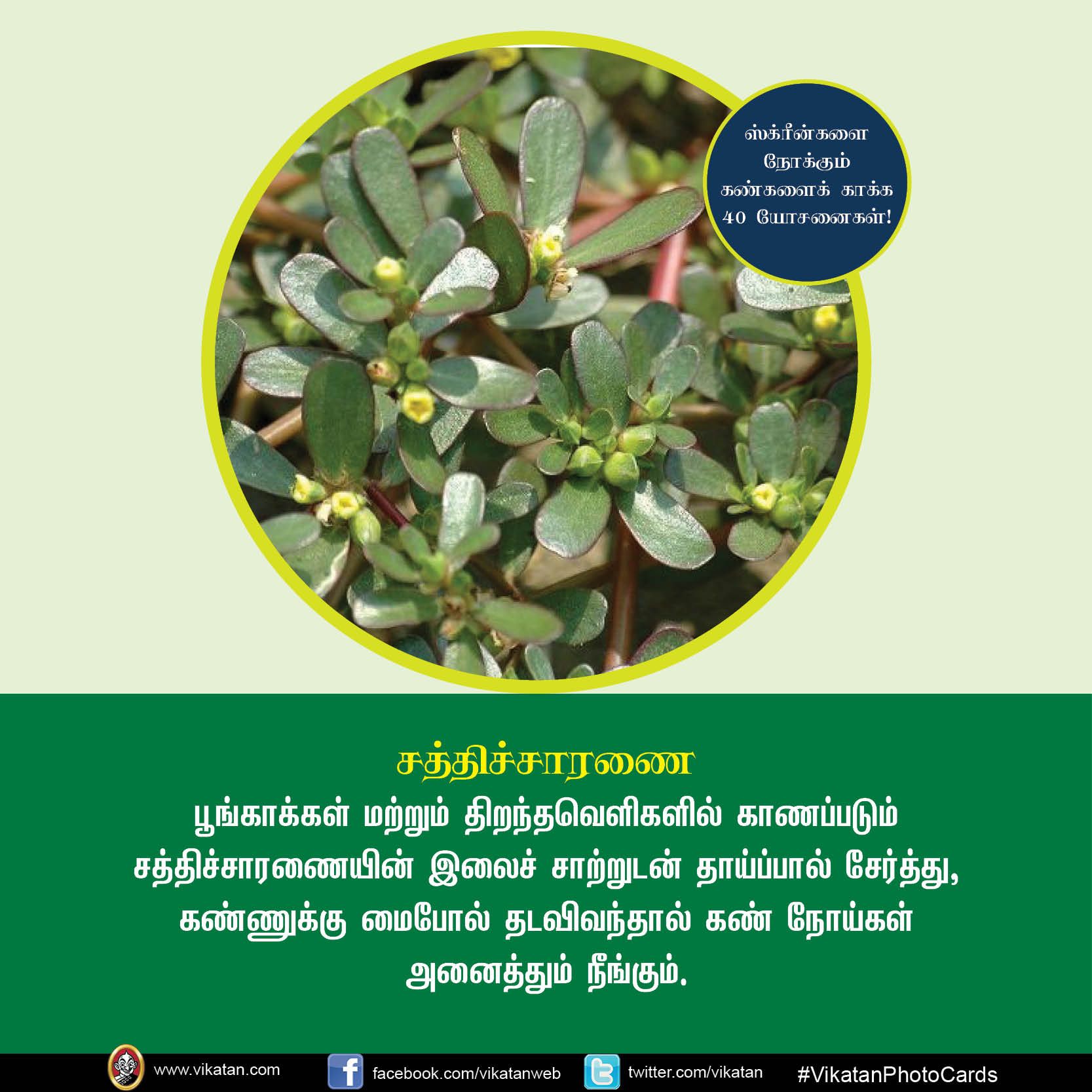 மொபைல், கணினி, டி.வி... ஸ்க்ரீன் நோக்கும் கண்களைக் காக்கும் யோசனைகள்! #VikatanPhotoCards மொபைல், கணினி, டி.வி... ஸ்க்ரீன் நோக்கும் கண்களைக் காக்கும் யோசனைகள்! #VikatanPhotoCards