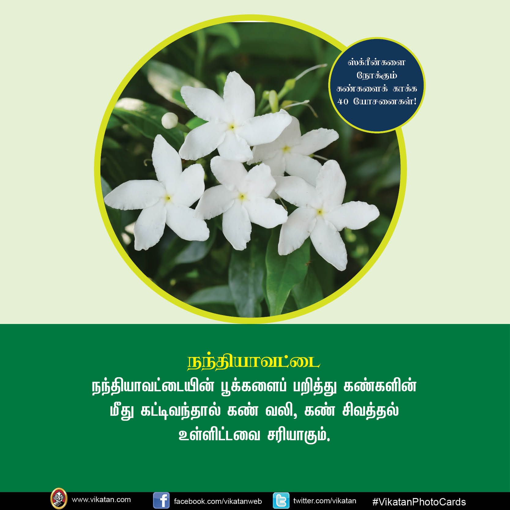 மொபைல், கணினி, டி.வி... ஸ்க்ரீன் நோக்கும் கண்களைக் காக்கும் யோசனைகள்! #VikatanPhotoCards மொபைல், கணினி, டி.வி... ஸ்க்ரீன் நோக்கும் கண்களைக் காக்கும் யோசனைகள்! #VikatanPhotoCards
