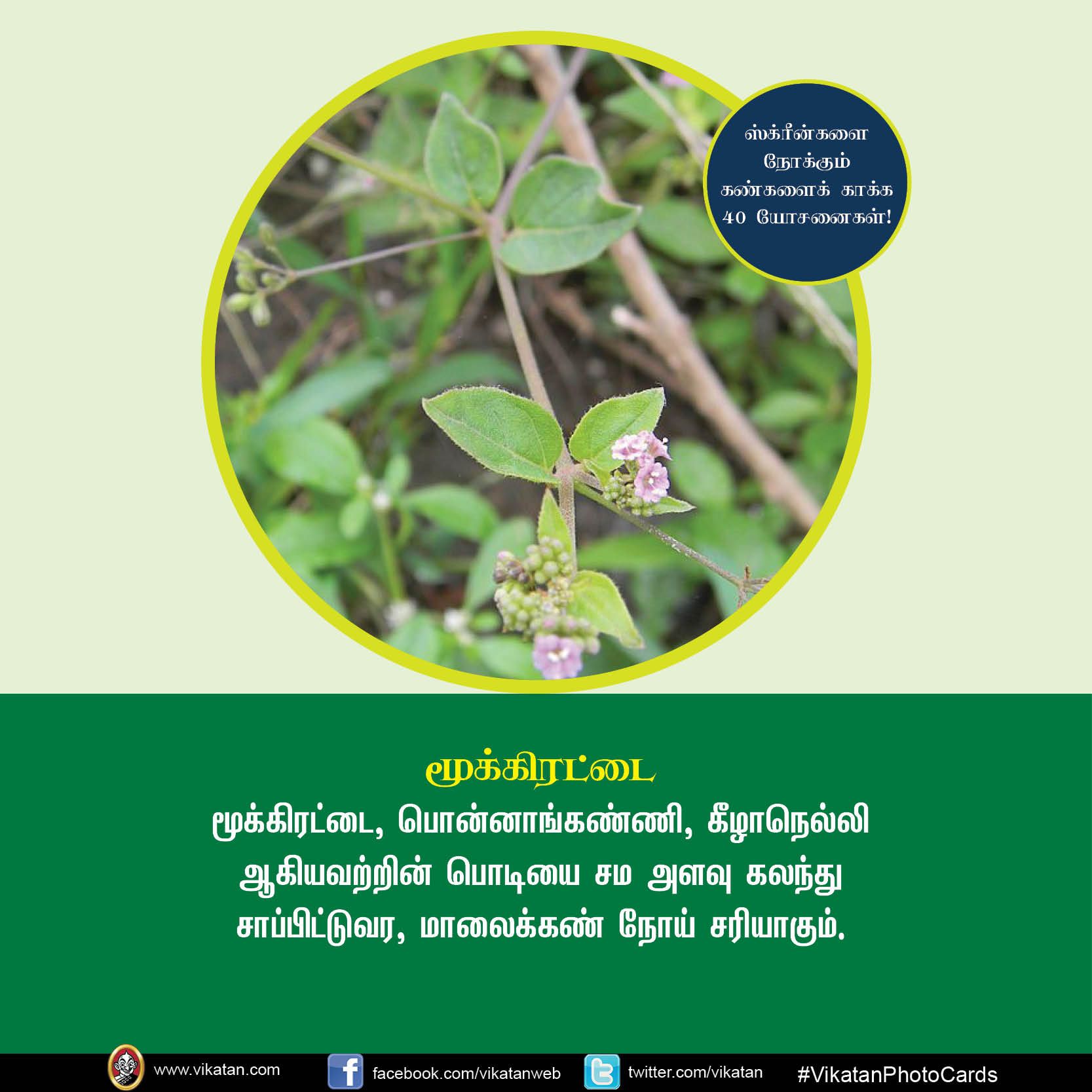 மொபைல், கணினி, டி.வி... ஸ்க்ரீன் நோக்கும் கண்களைக் காக்கும் யோசனைகள்! #VikatanPhotoCards மொபைல், கணினி, டி.வி... ஸ்க்ரீன் நோக்கும் கண்களைக் காக்கும் யோசனைகள்! #VikatanPhotoCards