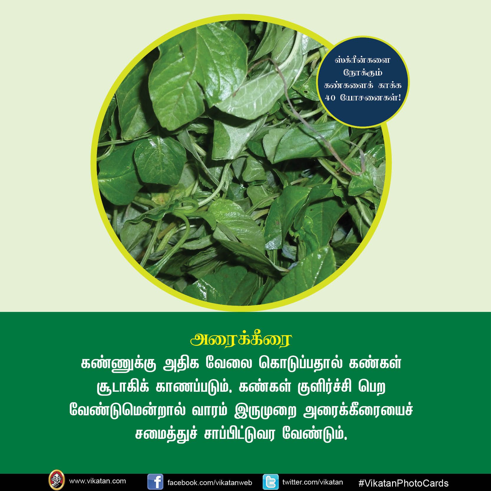 மொபைல், கணினி, டி.வி... ஸ்க்ரீன் நோக்கும் கண்களைக் காக்கும் யோசனைகள்! #VikatanPhotoCards மொபைல், கணினி, டி.வி... ஸ்க்ரீன் நோக்கும் கண்களைக் காக்கும் யோசனைகள்! #VikatanPhotoCards