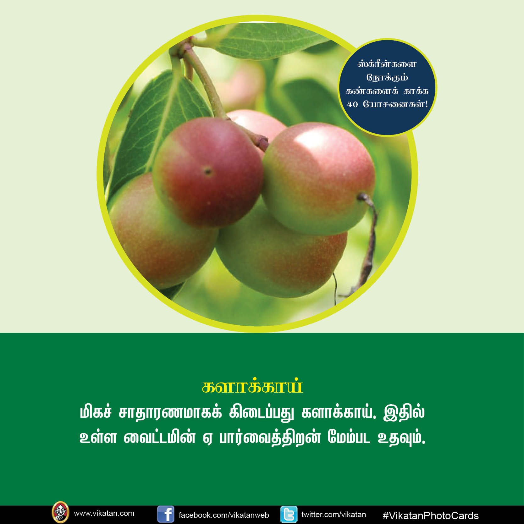 மொபைல், கணினி, டி.வி... ஸ்க்ரீன் நோக்கும் கண்களைக் காக்கும் யோசனைகள்! #VikatanPhotoCards மொபைல், கணினி, டி.வி... ஸ்க்ரீன் நோக்கும் கண்களைக் காக்கும் யோசனைகள்! #VikatanPhotoCards