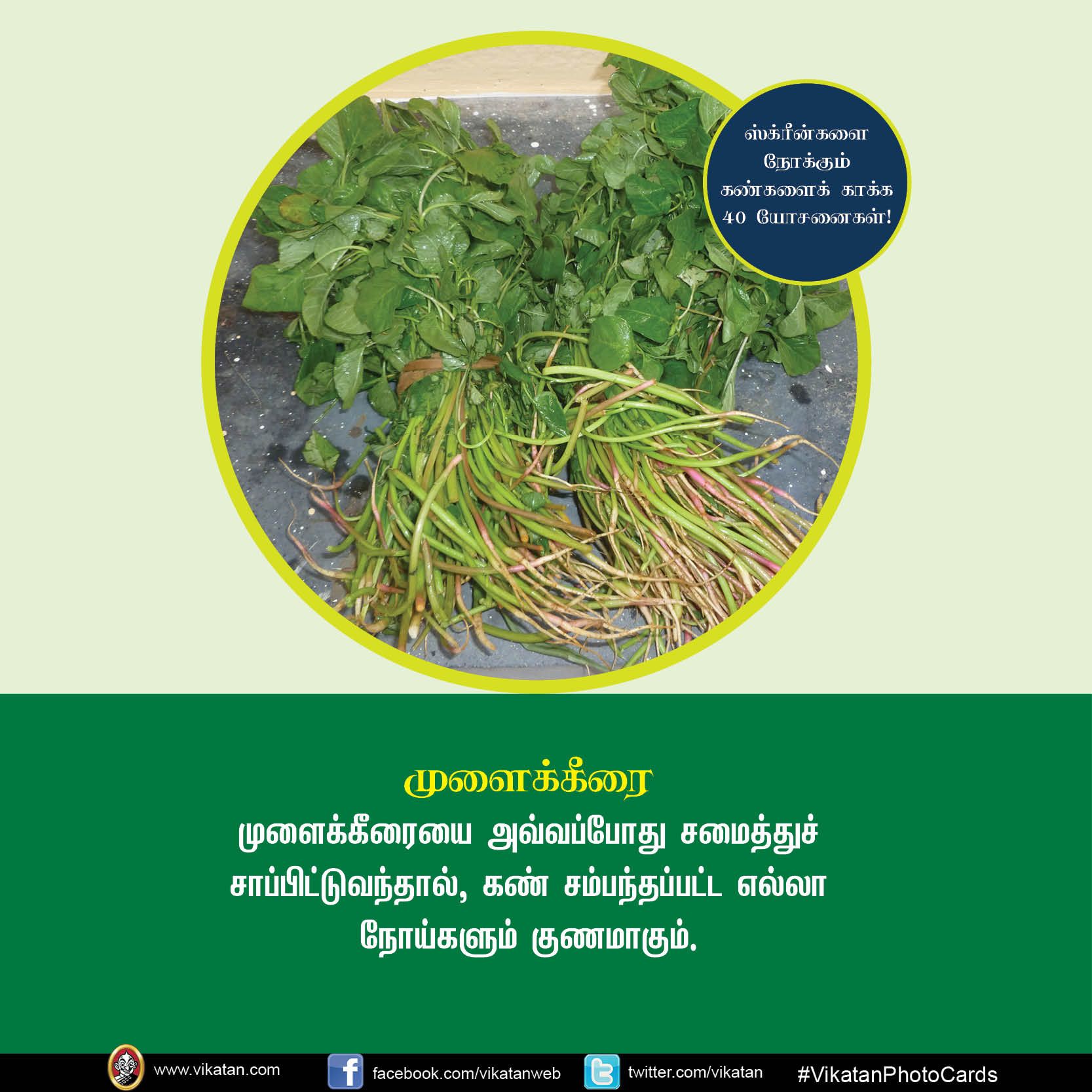 மொபைல், கணினி, டி.வி... ஸ்க்ரீன் நோக்கும் கண்களைக் காக்கும் யோசனைகள்! #VikatanPhotoCards மொபைல், கணினி, டி.வி... ஸ்க்ரீன் நோக்கும் கண்களைக் காக்கும் யோசனைகள்! #VikatanPhotoCards