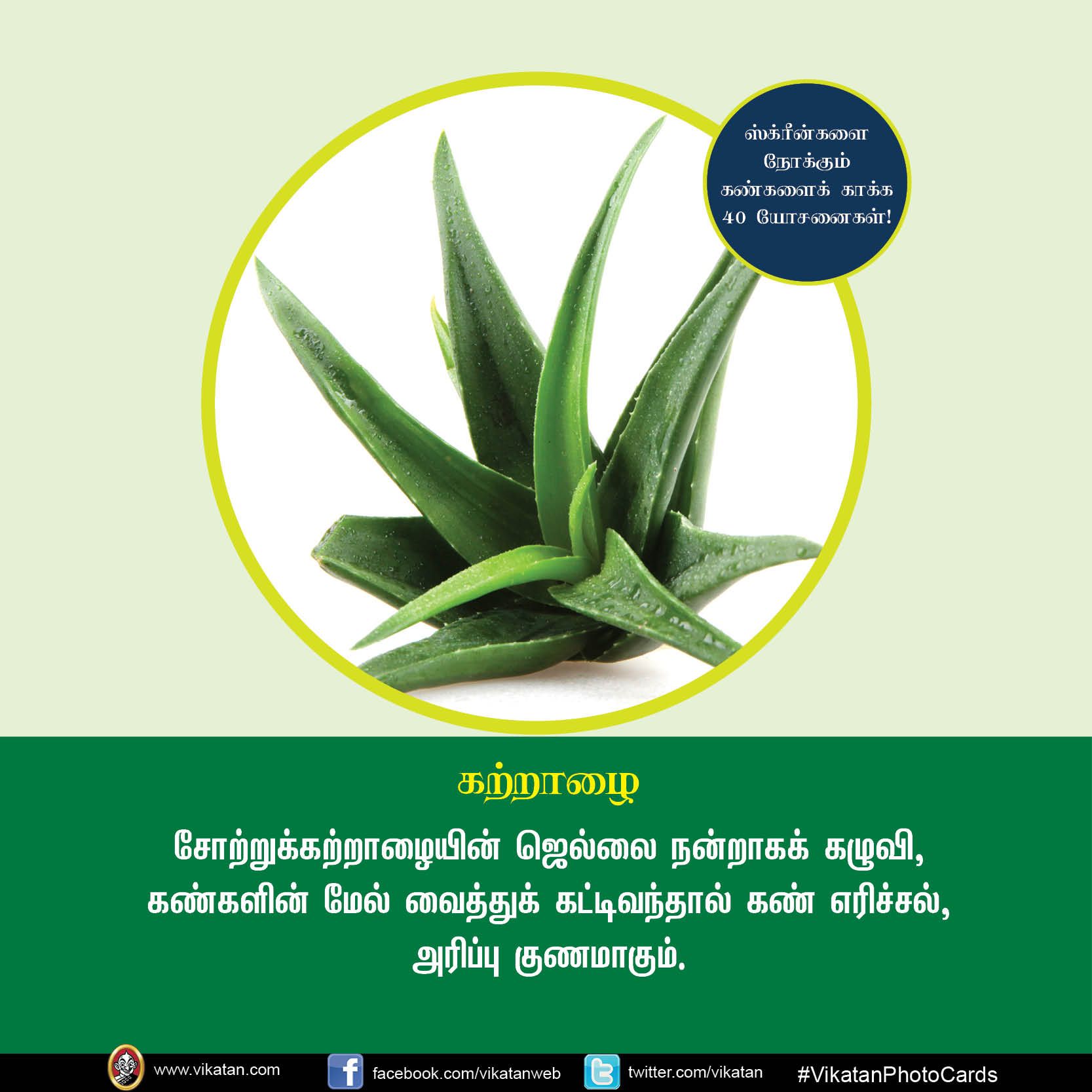 மொபைல், கணினி, டி.வி... ஸ்க்ரீன் நோக்கும் கண்களைக் காக்கும் யோசனைகள்! #VikatanPhotoCards மொபைல், கணினி, டி.வி... ஸ்க்ரீன் நோக்கும் கண்களைக் காக்கும் யோசனைகள்! #VikatanPhotoCards