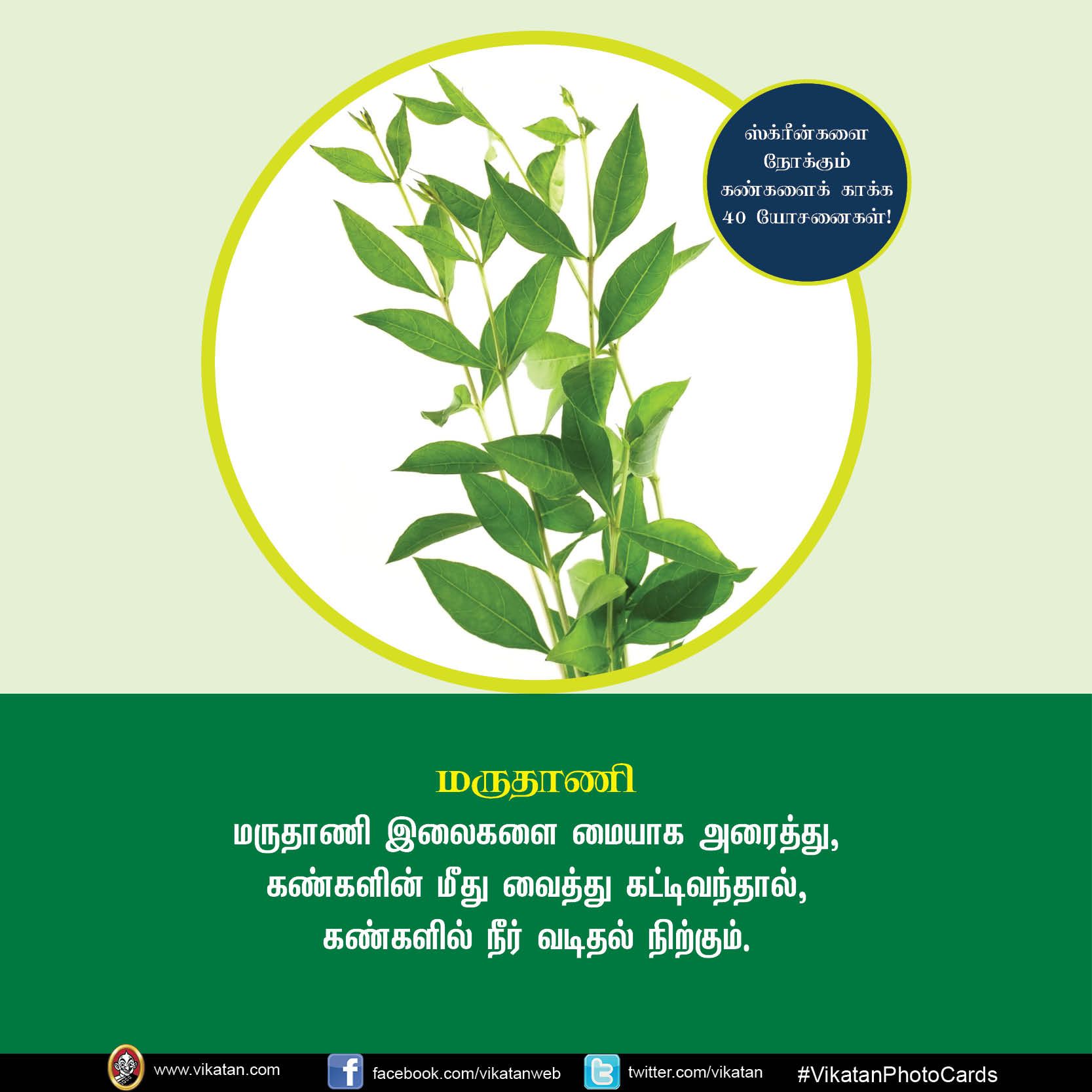 மொபைல், கணினி, டி.வி... ஸ்க்ரீன் நோக்கும் கண்களைக் காக்கும் யோசனைகள்! #VikatanPhotoCards மொபைல், கணினி, டி.வி... ஸ்க்ரீன் நோக்கும் கண்களைக் காக்கும் யோசனைகள்! #VikatanPhotoCards