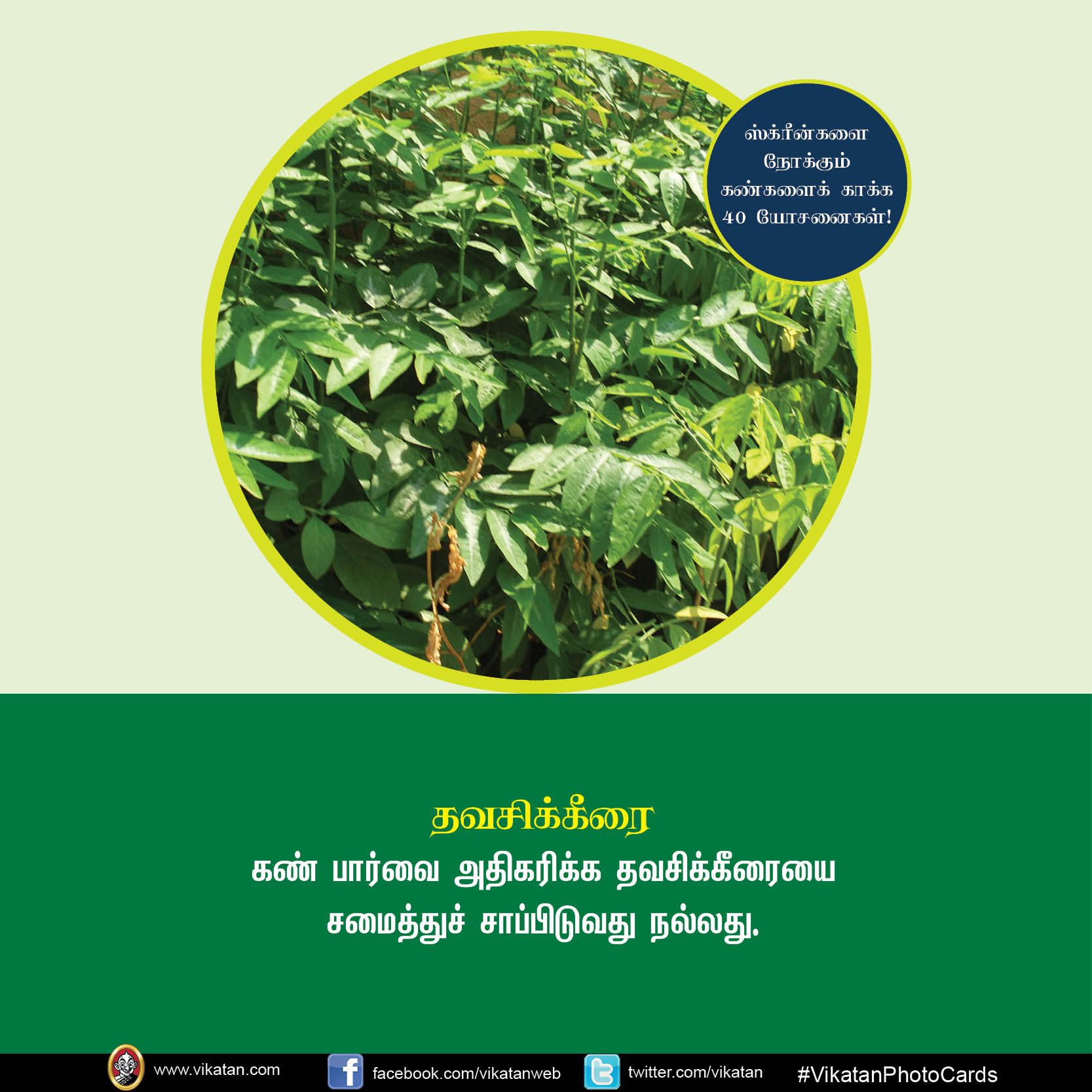 மொபைல், கணினி, டி.வி... ஸ்க்ரீன் நோக்கும் கண்களைக் காக்கும் யோசனைகள்! #VikatanPhotoCards மொபைல், கணினி, டி.வி... ஸ்க்ரீன் நோக்கும் கண்களைக் காக்கும் யோசனைகள்! #VikatanPhotoCards