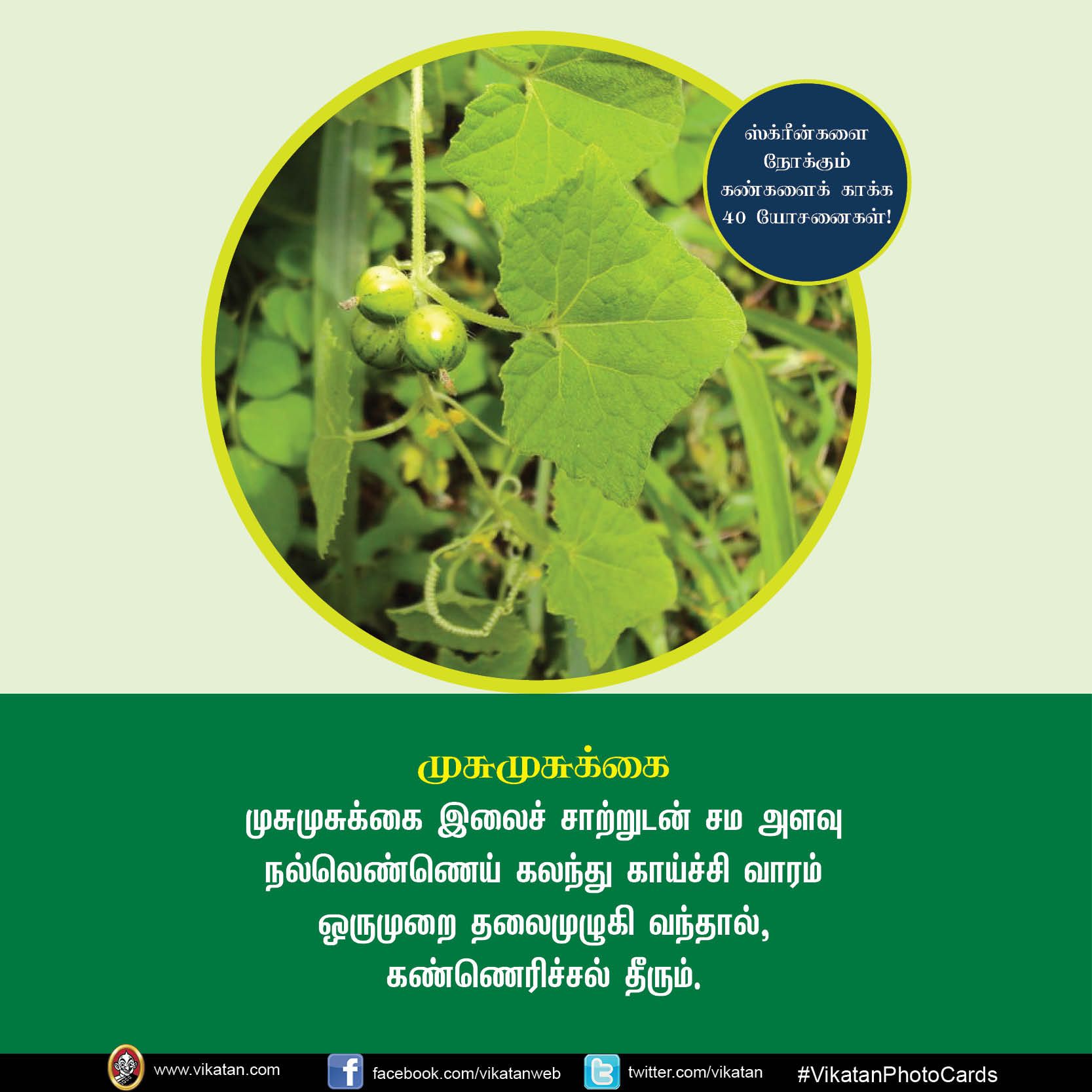 மொபைல், கணினி, டி.வி... ஸ்க்ரீன் நோக்கும் கண்களைக் காக்கும் யோசனைகள்! #VikatanPhotoCards மொபைல், கணினி, டி.வி... ஸ்க்ரீன் நோக்கும் கண்களைக் காக்கும் யோசனைகள்! #VikatanPhotoCards