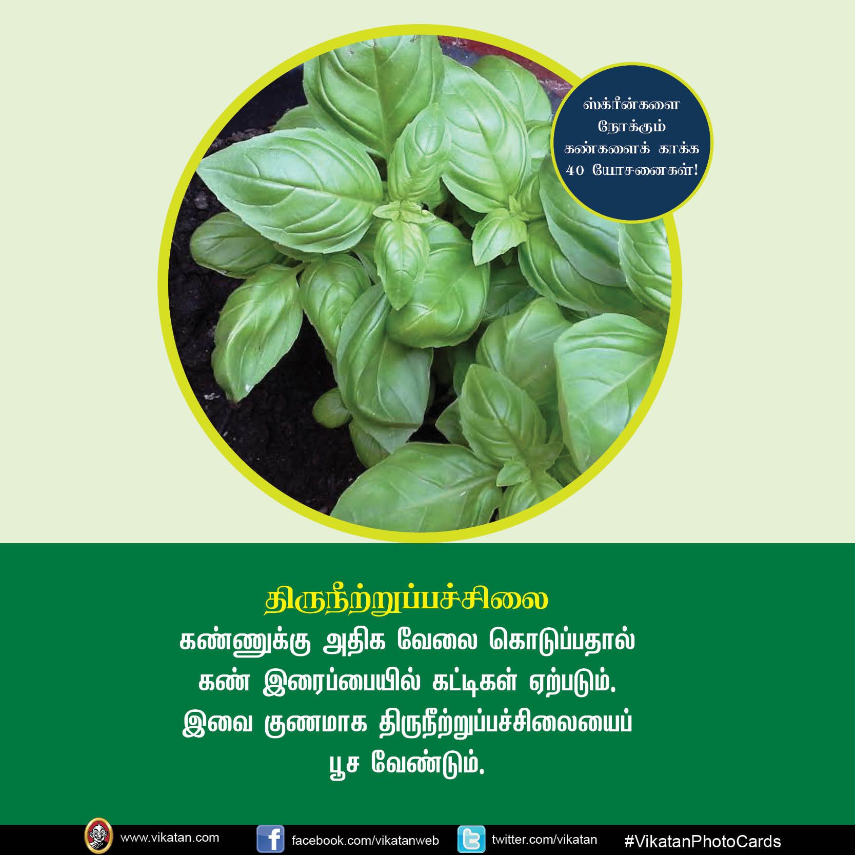 மொபைல், கணினி, டி.வி... ஸ்க்ரீன் நோக்கும் கண்களைக் காக்கும் யோசனைகள்! #VikatanPhotoCards மொபைல், கணினி, டி.வி... ஸ்க்ரீன் நோக்கும் கண்களைக் காக்கும் யோசனைகள்! #VikatanPhotoCards