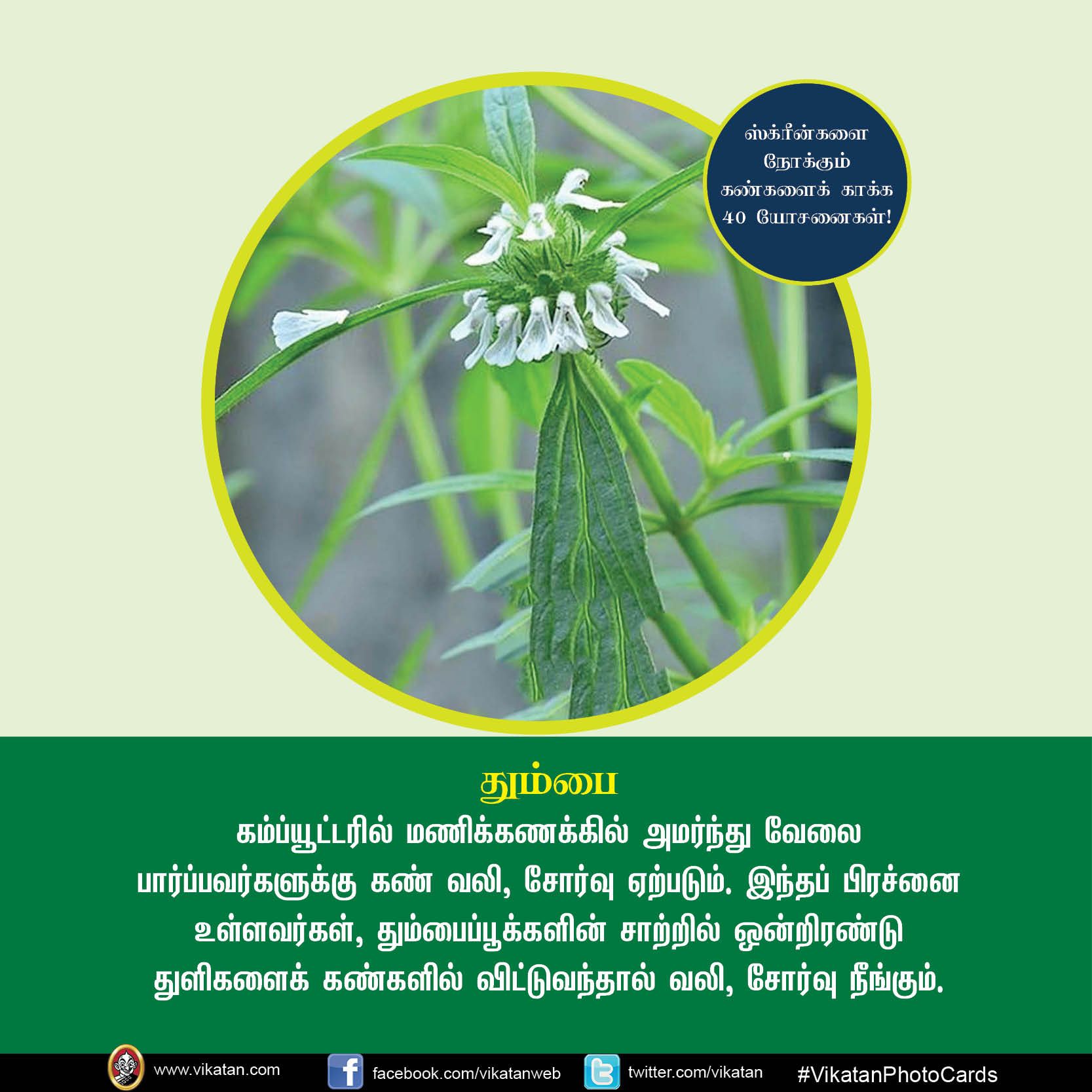 மொபைல், கணினி, டி.வி... ஸ்க்ரீன் நோக்கும் கண்களைக் காக்கும் யோசனைகள்! #VikatanPhotoCards மொபைல், கணினி, டி.வி... ஸ்க்ரீன் நோக்கும் கண்களைக் காக்கும் யோசனைகள்! #VikatanPhotoCards