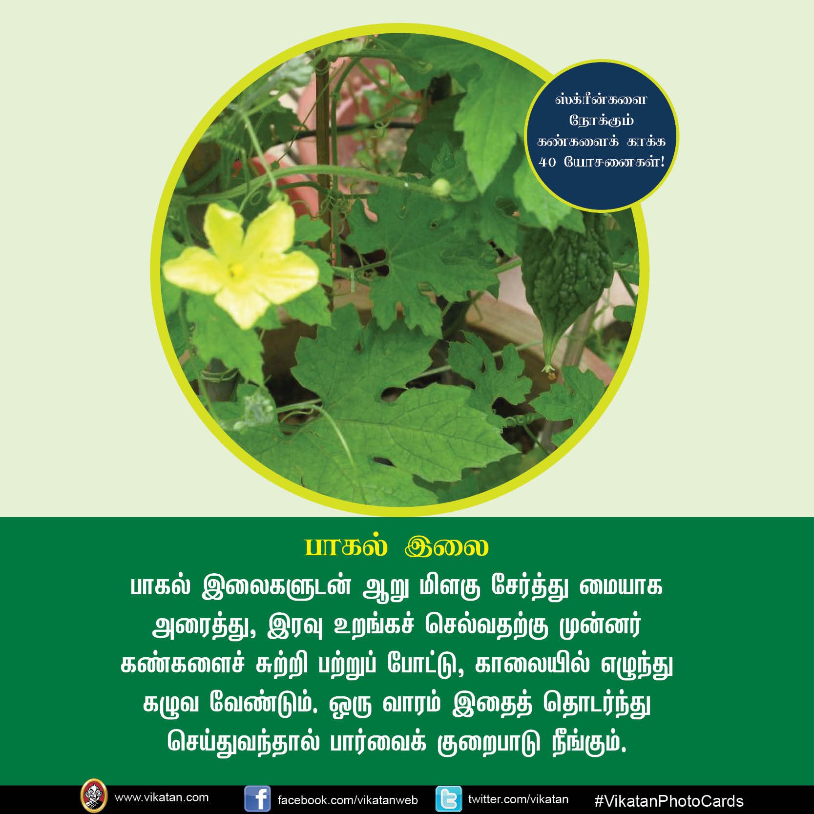 மொபைல், கணினி, டி.வி... ஸ்க்ரீன் நோக்கும் கண்களைக் காக்கும் யோசனைகள்! #VikatanPhotoCards மொபைல், கணினி, டி.வி... ஸ்க்ரீன் நோக்கும் கண்களைக் காக்கும் யோசனைகள்! #VikatanPhotoCards