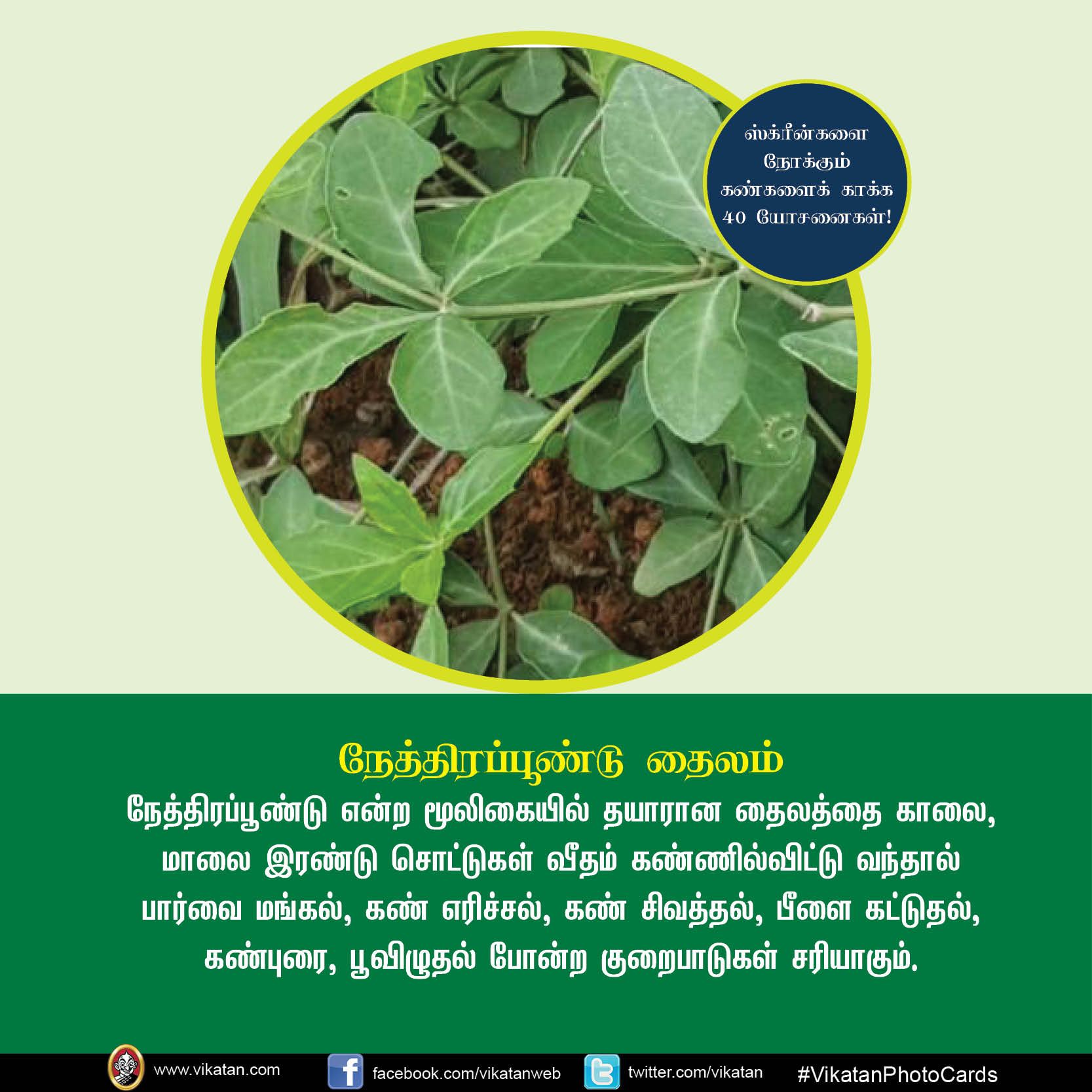 மொபைல், கணினி, டி.வி... ஸ்க்ரீன் நோக்கும் கண்களைக் காக்கும் யோசனைகள்! #VikatanPhotoCards மொபைல், கணினி, டி.வி... ஸ்க்ரீன் நோக்கும் கண்களைக் காக்கும் யோசனைகள்! #VikatanPhotoCards
