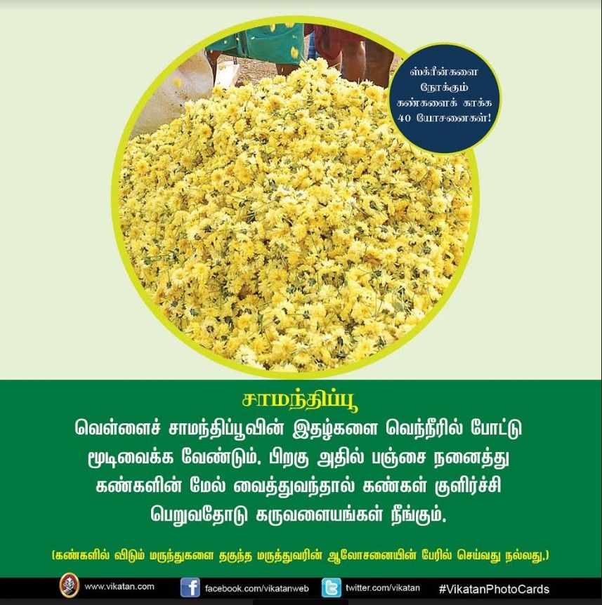 மொபைல், கணினி, டி.வி... ஸ்க்ரீன் நோக்கும் கண்களைக் காக்கும் யோசனைகள்! #VikatanPhotoCards மொபைல், கணினி, டி.வி... ஸ்க்ரீன் நோக்கும் கண்களைக் காக்கும் யோசனைகள்! #VikatanPhotoCards