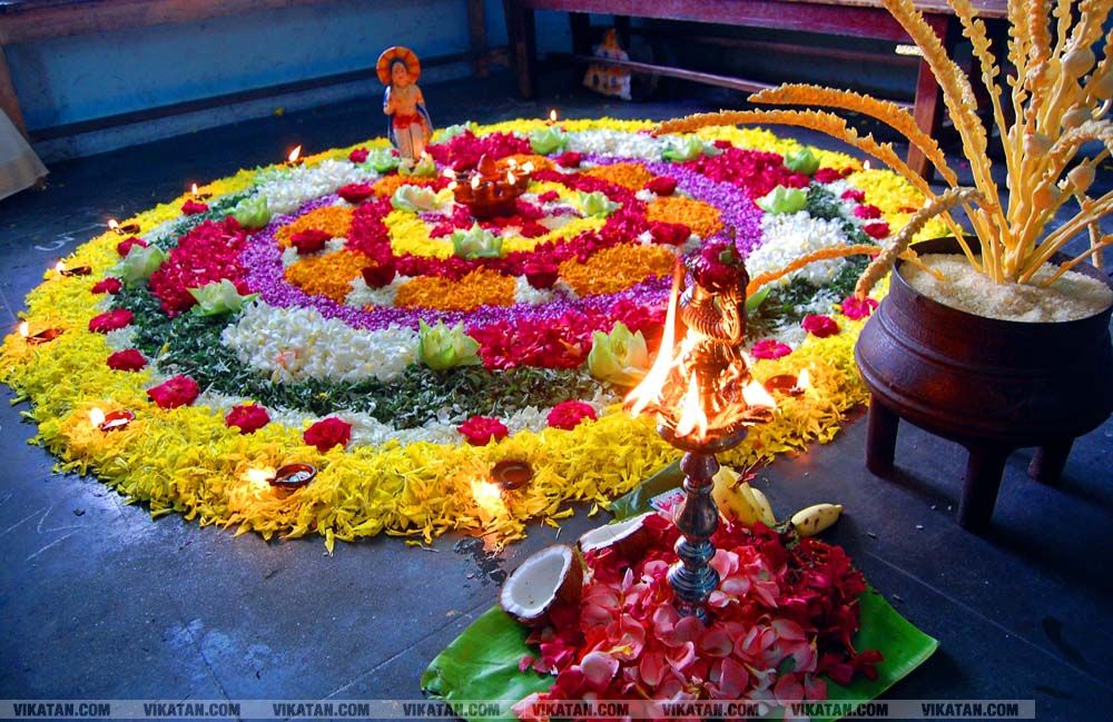 கன்னியாகுமரி மாவட்டம் நாகர்கோவில் குமரி மெட்ரிக் மேல்நிலைப்பள்ளியில் அத்தப்பூ கோலமிட்டு ஓணம் பண்டிகை கொண்டாட்டம்... படங்கள் - ரா.ராம்குமார் கன்னியாகுமரி மாவட்டம் நாகர்கோவில் குமரி மெட்ரிக் மேல்நிலைப்பள்ளியில் அத்தப்பூ கோலமிட்டு ஓணம் பண்டிகை கொண்டாட்டம்... படங்கள் - ரா.ராம்குமார்