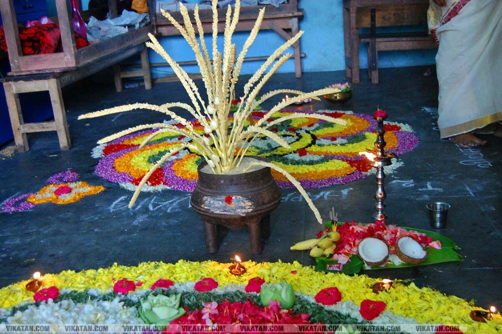 கன்னியாகுமரி மாவட்டம் நாகர்கோவில் குமரி மெட்ரிக் மேல்நிலைப்பள்ளியில் அத்தப்பூ கோலமிட்டு ஓணம் பண்டிகை கொண்டாட்டம்... படங்கள் - ரா.ராம்குமார் கன்னியாகுமரி மாவட்டம் நாகர்கோவில் குமரி மெட்ரிக் மேல்நிலைப்பள்ளியில் அத்தப்பூ கோலமிட்டு ஓணம் பண்டிகை கொண்டாட்டம்... படங்கள் - ரா.ராம்குமார்