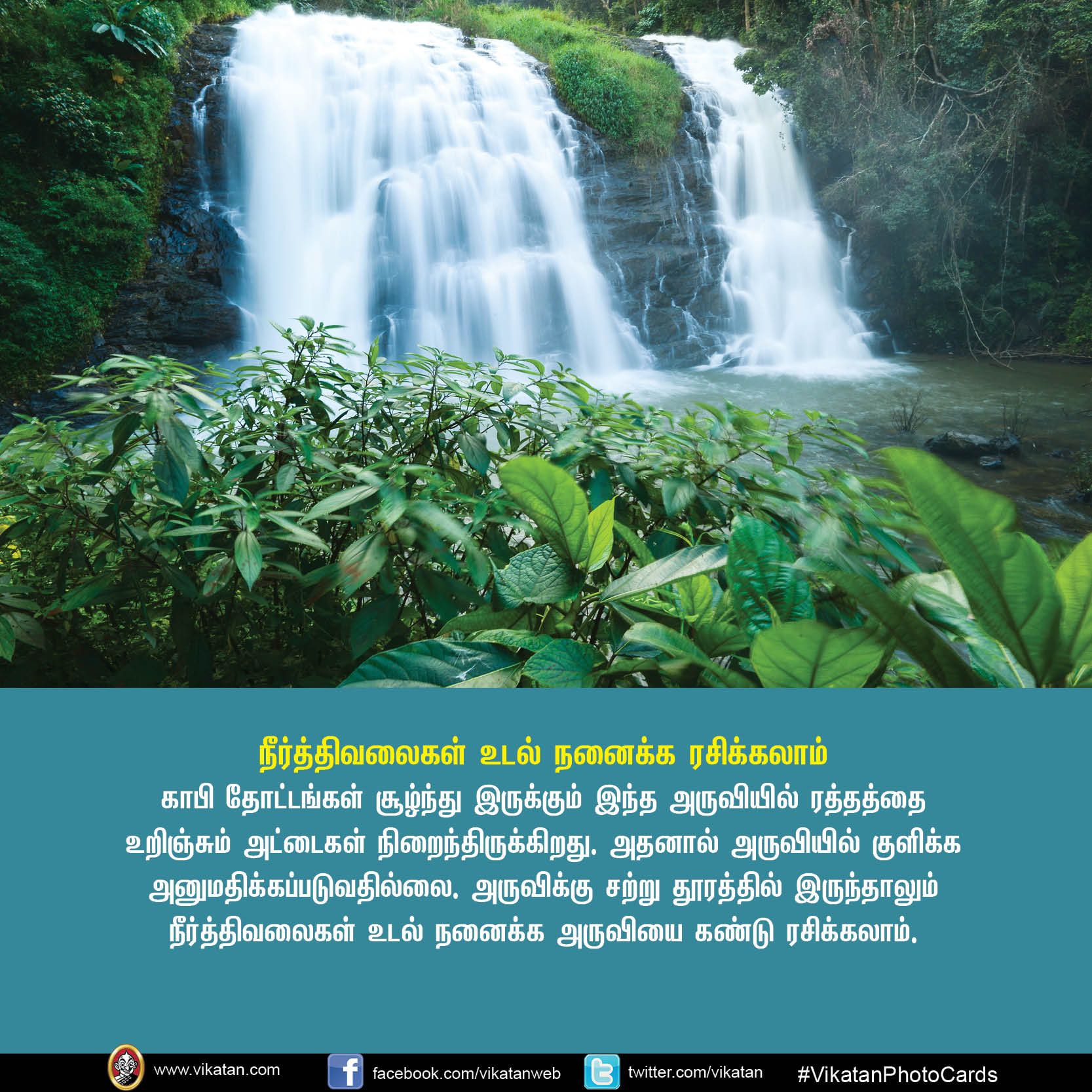 உங்கள் சுற்றுலா சாய்ஸில் கூர்க் இருக்கிறதா? VikatanPhotoCards.. தொகுப்பு.... ச.ஜெ.ரவி உங்கள் சுற்றுலா சாய்ஸில் கூர்க் இருக்கிறதா? VikatanPhotoCards.. தொகுப்பு.... ச.ஜெ.ரவி