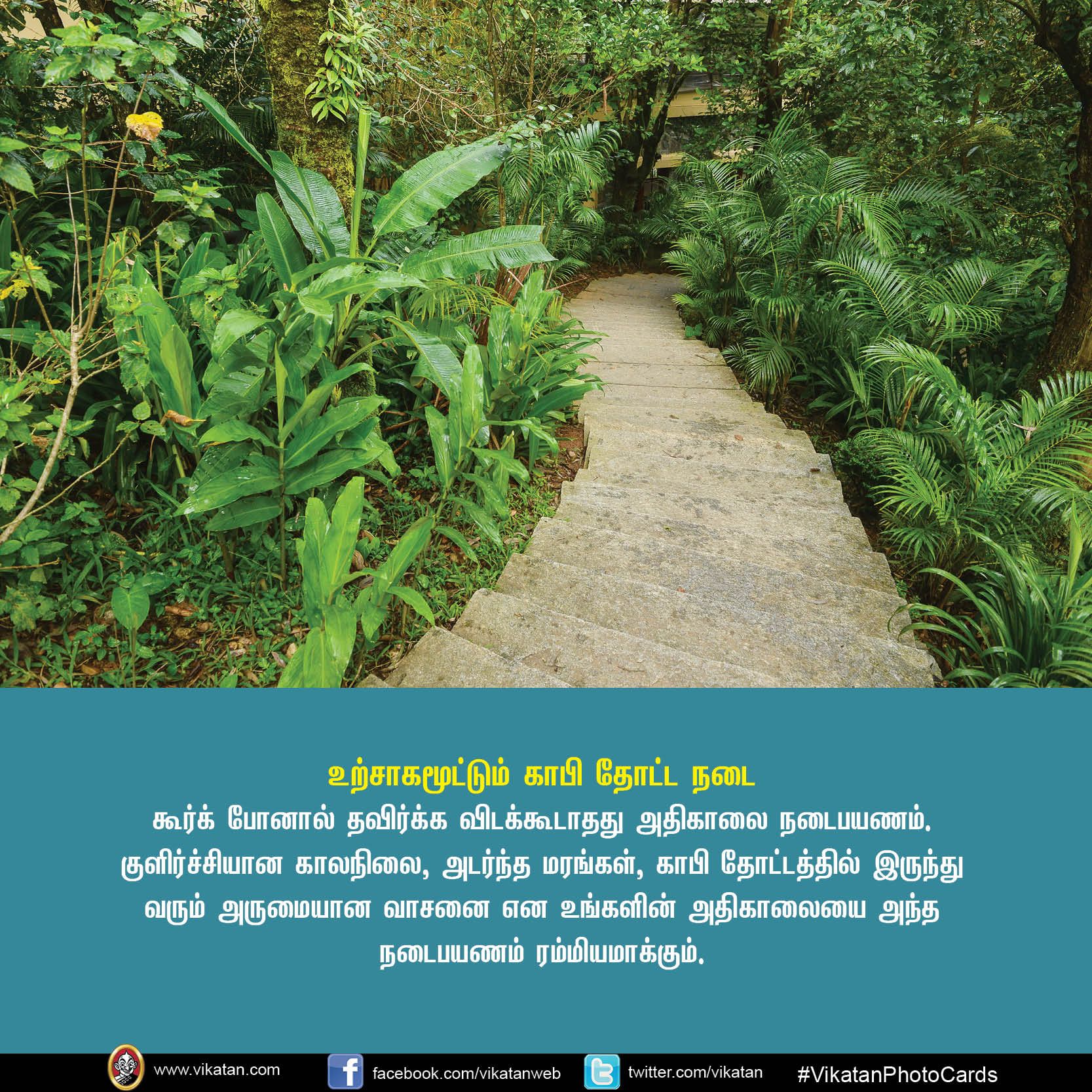 உங்கள் சுற்றுலா சாய்ஸில் கூர்க் இருக்கிறதா? VikatanPhotoCards.. தொகுப்பு.... ச.ஜெ.ரவி உங்கள் சுற்றுலா சாய்ஸில் கூர்க் இருக்கிறதா? VikatanPhotoCards.. தொகுப்பு.... ச.ஜெ.ரவி