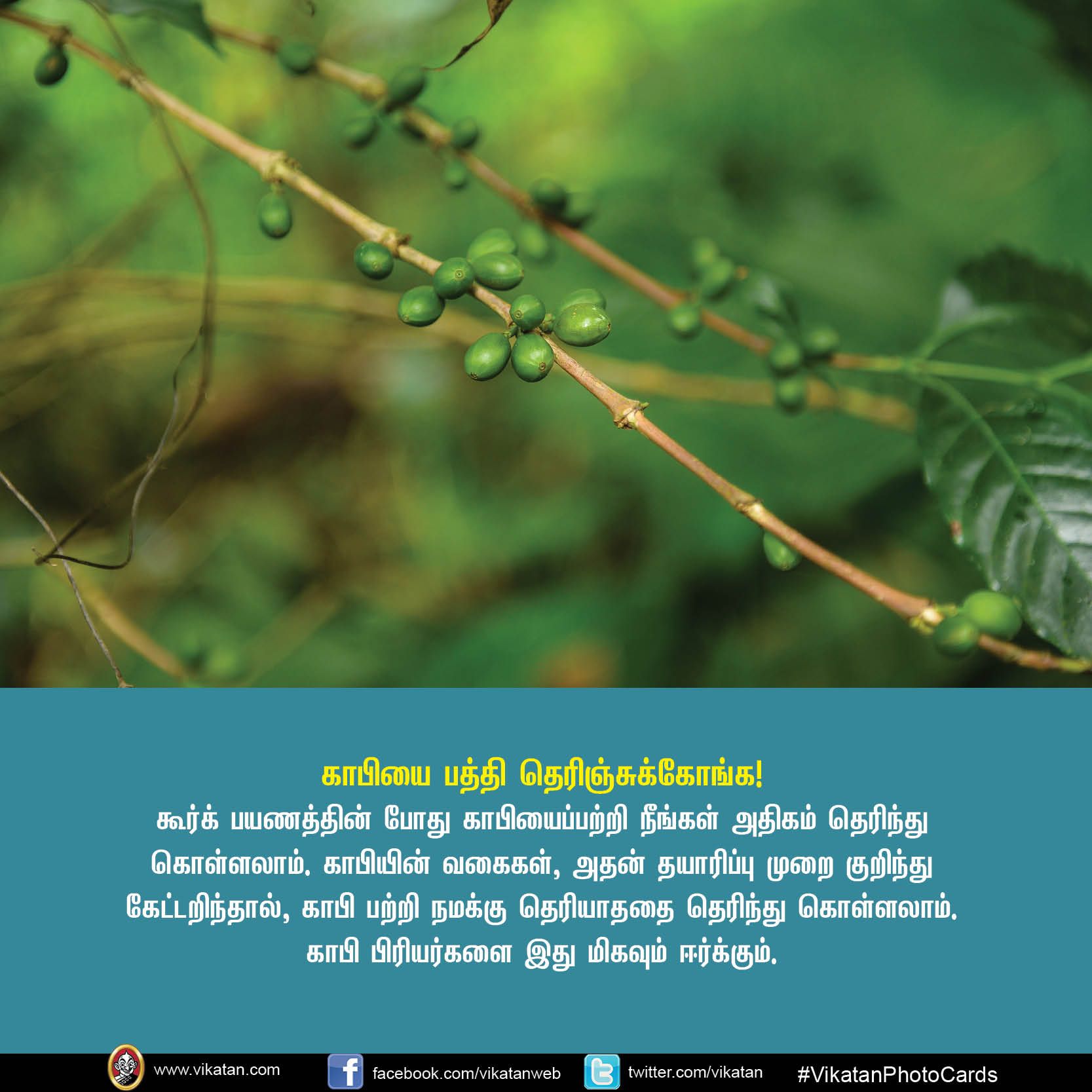 உங்கள் சுற்றுலா சாய்ஸில் கூர்க் இருக்கிறதா? VikatanPhotoCards.. தொகுப்பு.... ச.ஜெ.ரவி உங்கள் சுற்றுலா சாய்ஸில் கூர்க் இருக்கிறதா? VikatanPhotoCards.. தொகுப்பு.... ச.ஜெ.ரவி
