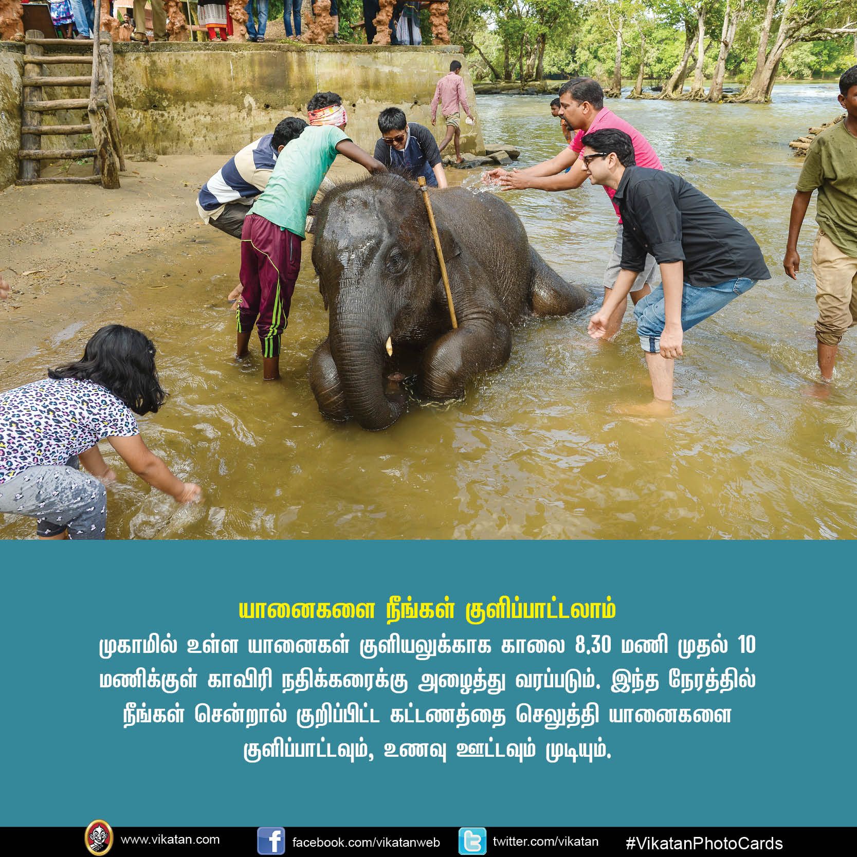 உங்கள் சுற்றுலா சாய்ஸில் கூர்க் இருக்கிறதா? VikatanPhotoCards.. தொகுப்பு.... ச.ஜெ.ரவி உங்கள் சுற்றுலா சாய்ஸில் கூர்க் இருக்கிறதா? VikatanPhotoCards.. தொகுப்பு.... ச.ஜெ.ரவி