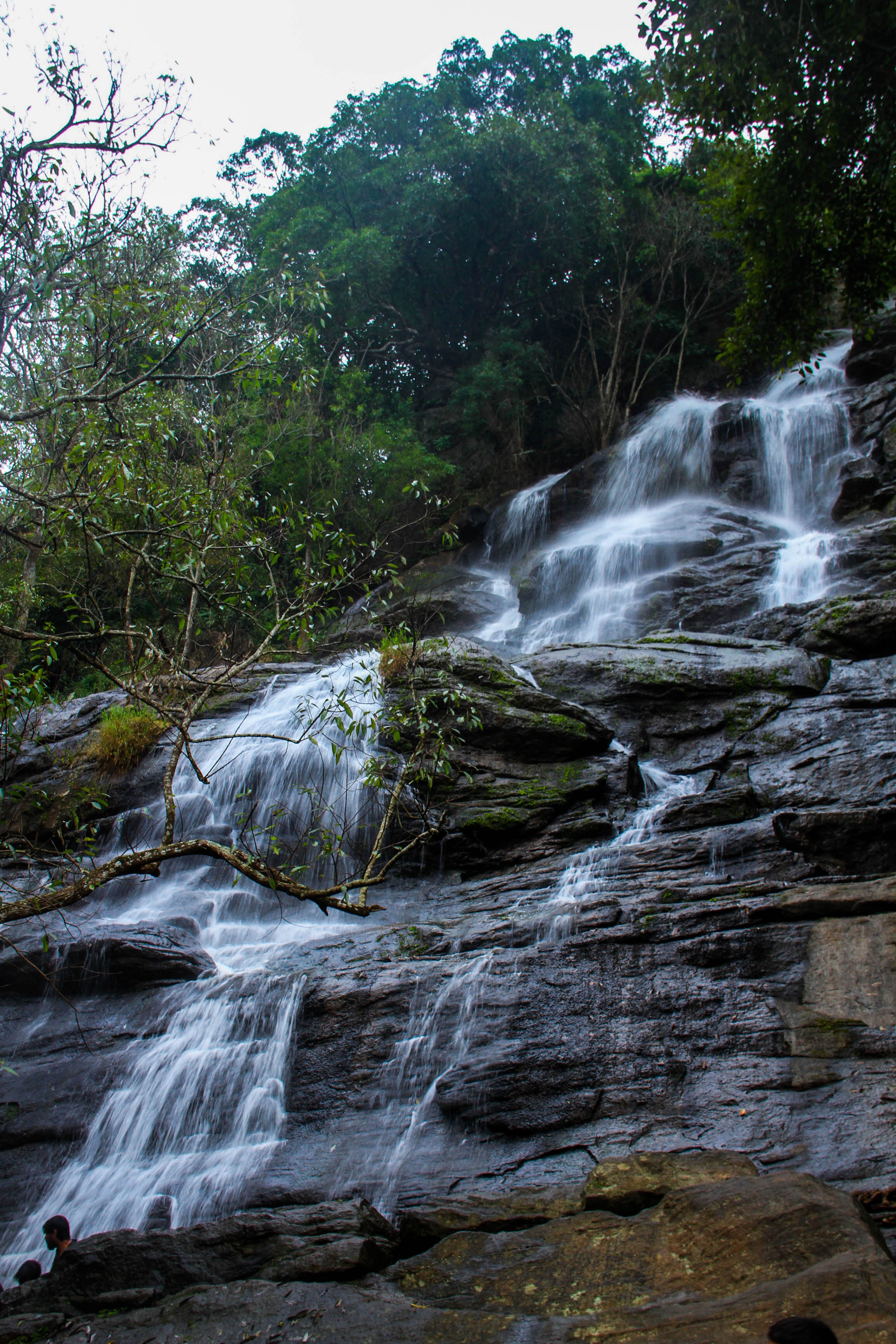 காடுகள் மலைகள் தேவன் கலைகள்... ஏழைகளின் ஊட்டி ஏற்காடு! #PhotoAlbum - படங்கள்: இ.ராஜ விபீஷிகா காடுகள் மலைகள் தேவன் கலைகள்... ஏழைகளின் ஊட்டி ஏற்காடு! #PhotoAlbum - படங்கள்: இ.ராஜ விபீஷிகா