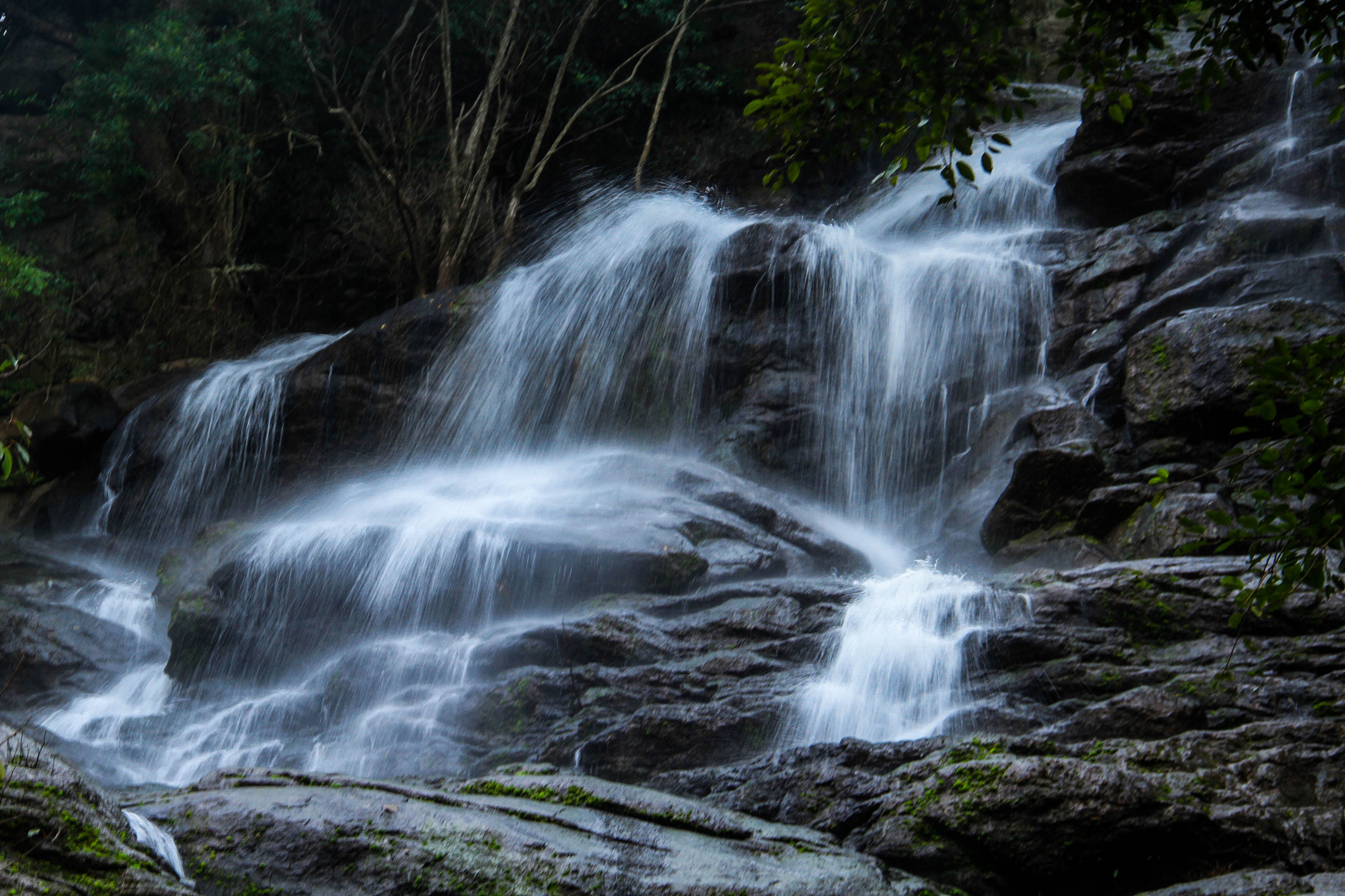 காடுகள் மலைகள் தேவன் கலைகள்... ஏழைகளின் ஊட்டி ஏற்காடு! #PhotoAlbum - படங்கள்: இ.ராஜ விபீஷிகா காடுகள் மலைகள் தேவன் கலைகள்... ஏழைகளின் ஊட்டி ஏற்காடு! #PhotoAlbum - படங்கள்: இ.ராஜ விபீஷிகா