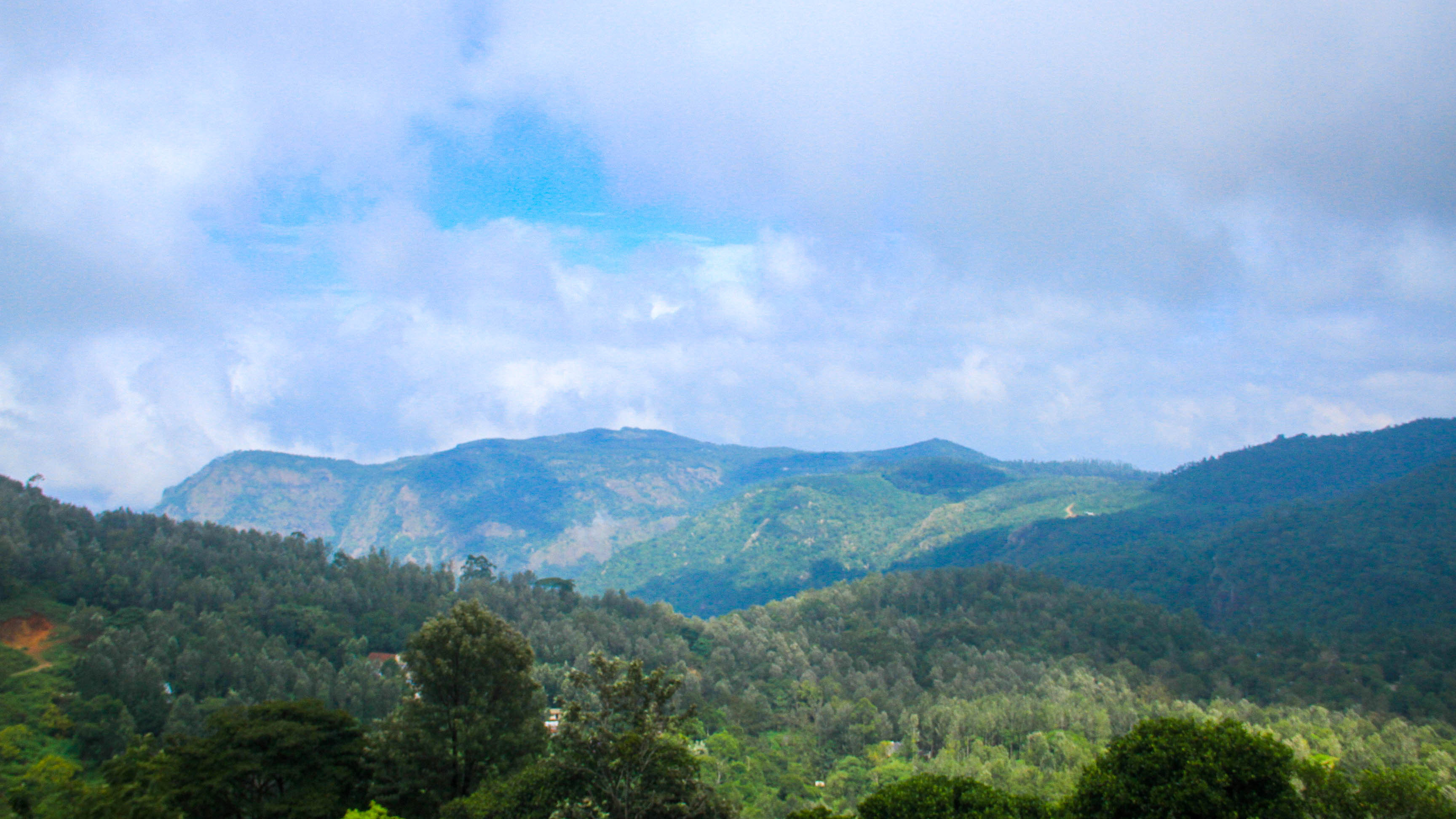 காடுகள் மலைகள் தேவன் கலைகள்... ஏழைகளின் ஊட்டி ஏற்காடு! #PhotoAlbum - படங்கள்: இ.ராஜ விபீஷிகா காடுகள் மலைகள் தேவன் கலைகள்... ஏழைகளின் ஊட்டி ஏற்காடு! #PhotoAlbum - படங்கள்: இ.ராஜ விபீஷிகா