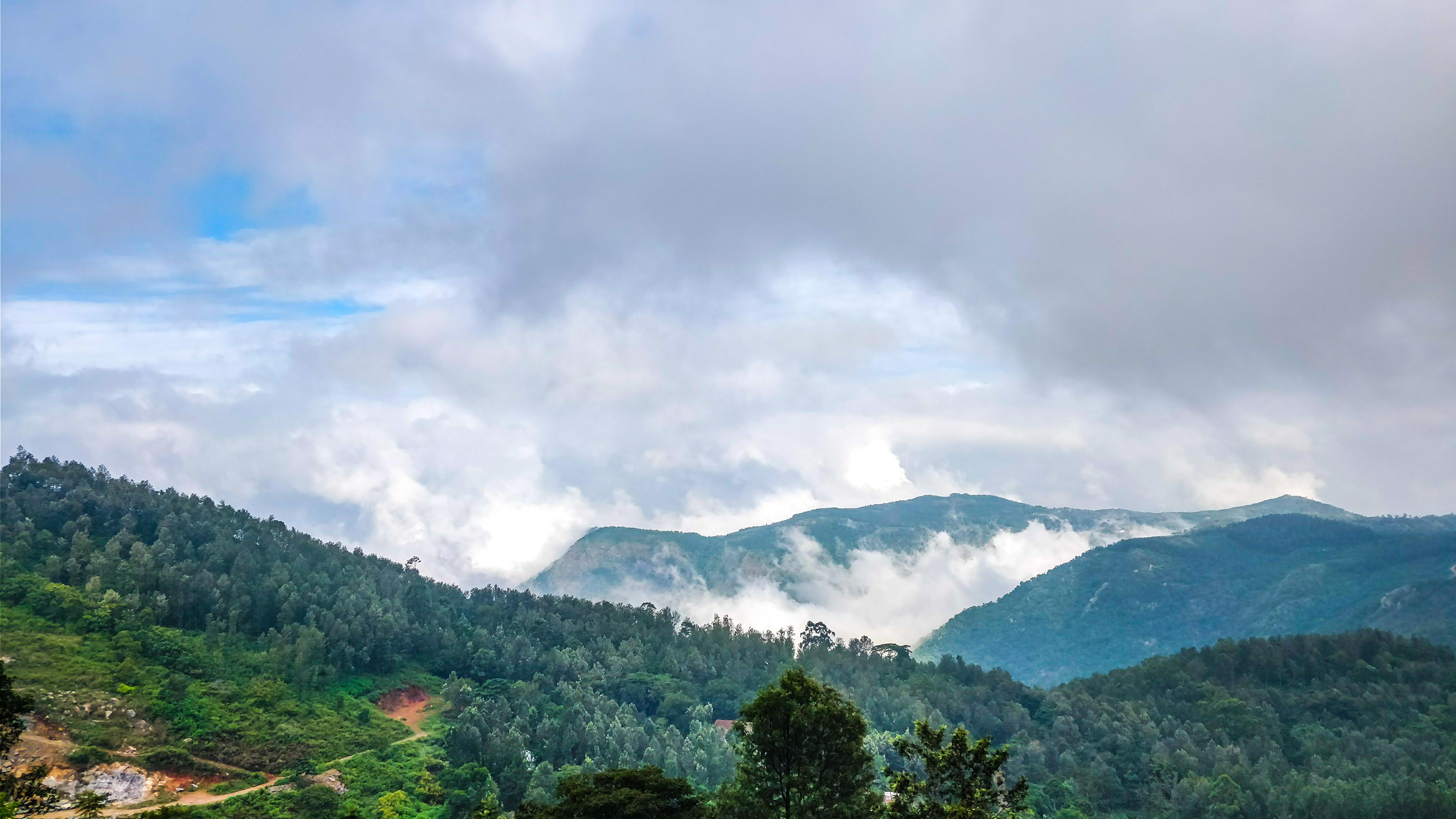 காடுகள் மலைகள் தேவன் கலைகள்... ஏழைகளின் ஊட்டி ஏற்காடு! #PhotoAlbum - படங்கள்: இ.ராஜ விபீஷிகா காடுகள் மலைகள் தேவன் கலைகள்... ஏழைகளின் ஊட்டி ஏற்காடு! #PhotoAlbum - படங்கள்: இ.ராஜ விபீஷிகா