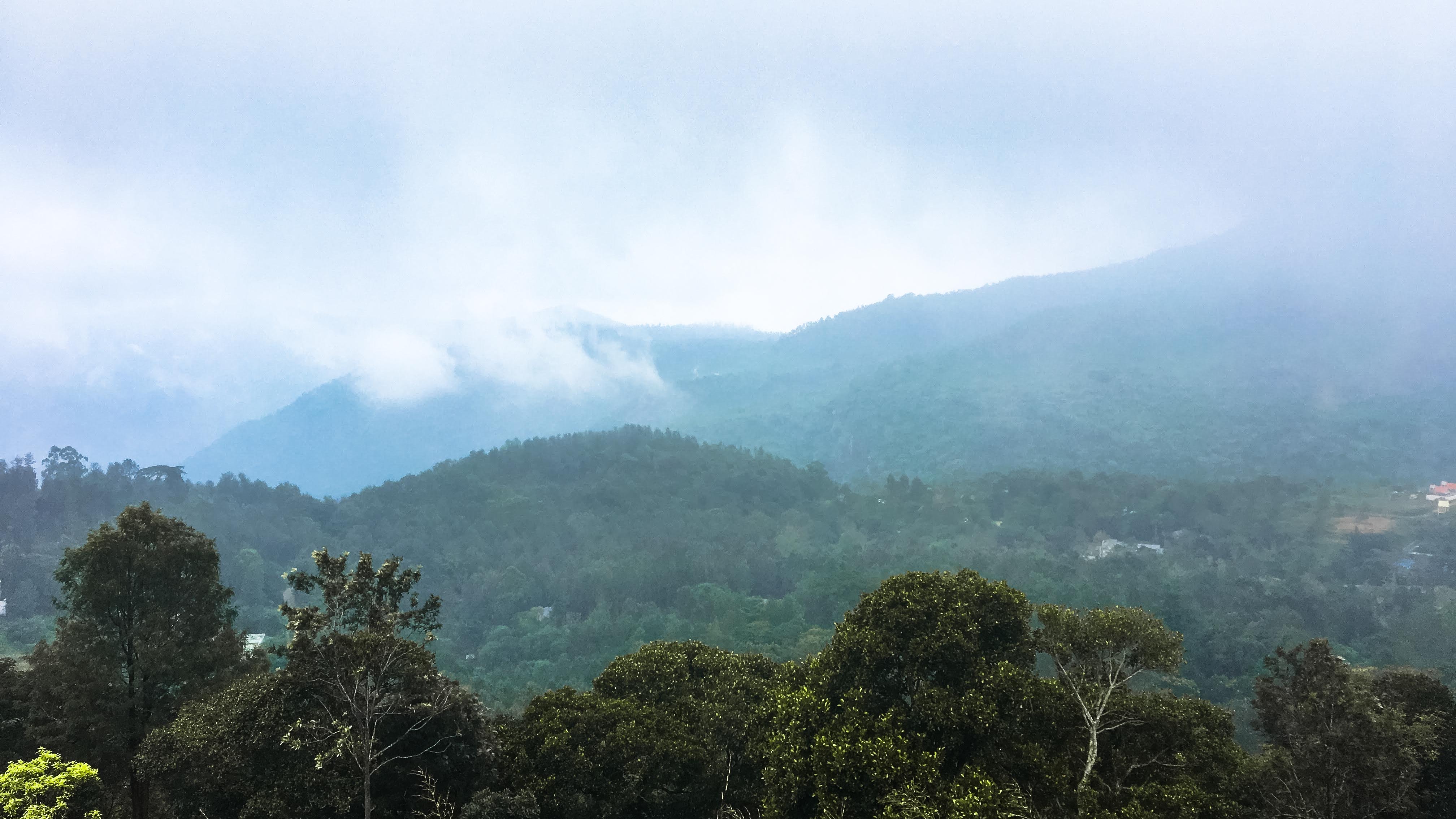 காடுகள் மலைகள் தேவன் கலைகள்... ஏழைகளின் ஊட்டி ஏற்காடு! #PhotoAlbum - படங்கள்: இ.ராஜ விபீஷிகா காடுகள் மலைகள் தேவன் கலைகள்... ஏழைகளின் ஊட்டி ஏற்காடு! #PhotoAlbum - படங்கள்: இ.ராஜ விபீஷிகா