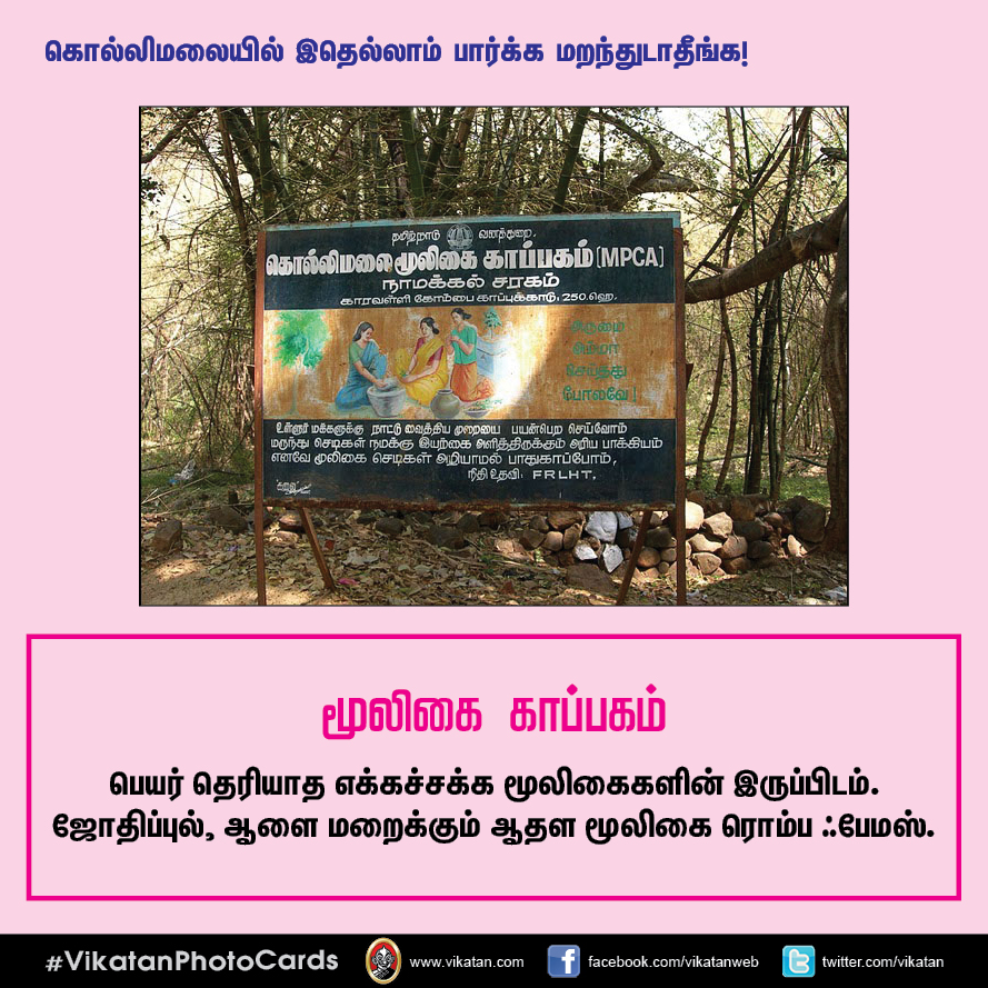 சித்தர் குகைகள், மூலிகை அருவிகள், 70 கொண்டை ஊசிகள்... கொல்லிமலை எனும் மர்மதேசம்! ` சித்தர் குகைகள், மூலிகை அருவிகள், 70 கொண்டை ஊசிகள்... கொல்லிமலை எனும் மர்மதேசம்! `