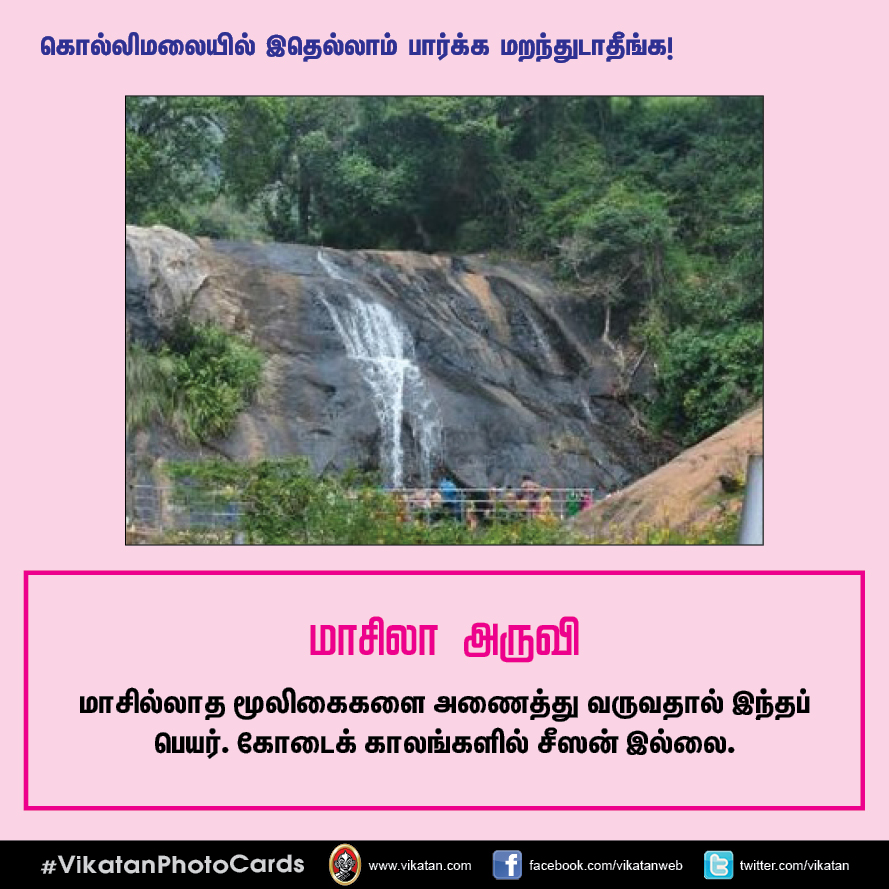 சித்தர் குகைகள், மூலிகை அருவிகள், 70 கொண்டை ஊசிகள்... கொல்லிமலை எனும் மர்மதேசம்! ` சித்தர் குகைகள், மூலிகை அருவிகள், 70 கொண்டை ஊசிகள்... கொல்லிமலை எனும் மர்மதேசம்! `
