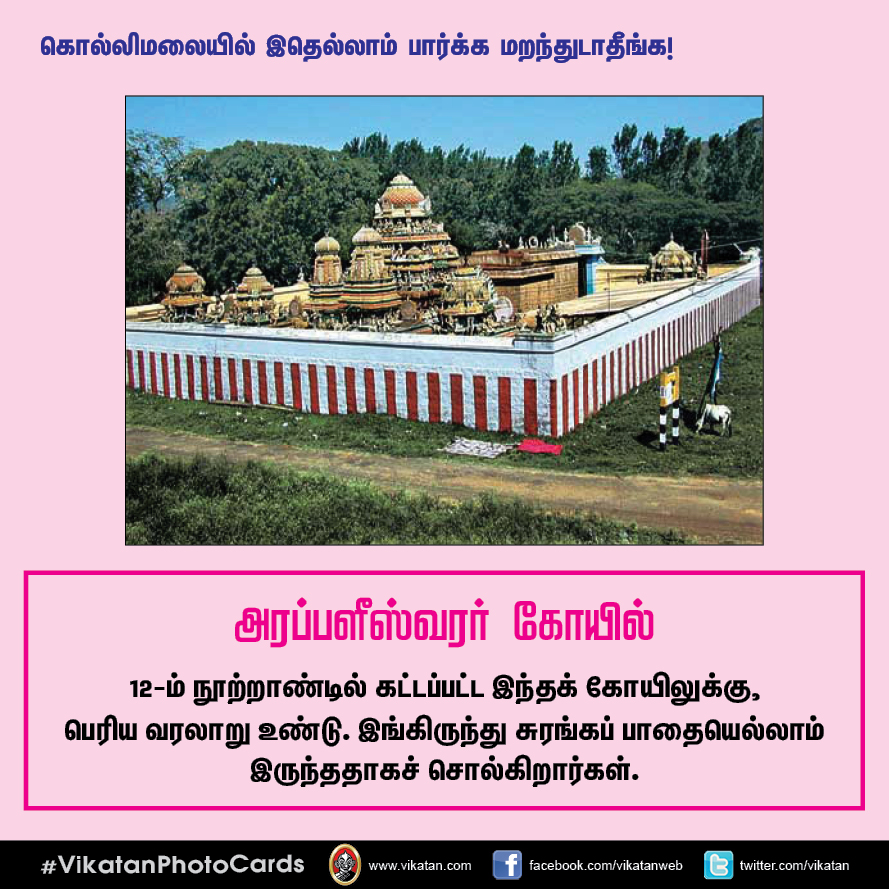 சித்தர் குகைகள், மூலிகை அருவிகள், 70 கொண்டை ஊசிகள்... கொல்லிமலை எனும் மர்மதேசம்! ` சித்தர் குகைகள், மூலிகை அருவிகள், 70 கொண்டை ஊசிகள்... கொல்லிமலை எனும் மர்மதேசம்! `