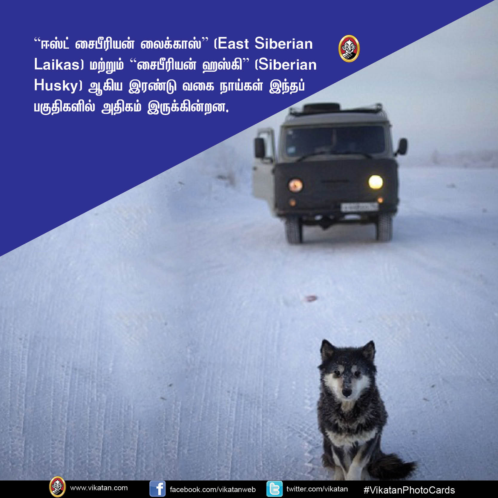 ஆர்க்டிக் துருவத்திற்கு மிக அருகில்... ஓய்மியகன் கிராமத்தில் ஒருநாள் எப்படி இருக்கும்? #VikatanPhotoCards ஆர்க்டிக் துருவத்திற்கு மிக அருகில்... ஓய்மியகன் கிராமத்தில் ஒருநாள் எப்படி இருக்கும்? #VikatanPhotoCards