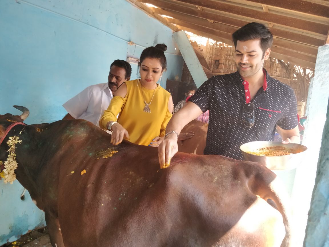 சின்னமனூரில் மாட்டுப் பொங்கல் கொண்டாடிய கணேஷ் வெங்கட்ராம் - நிஷா..! சின்னமனூரில் மாட்டுப் பொங்கல் கொண்டாடிய கணேஷ் வெங்கட்ராம் - நிஷா..!