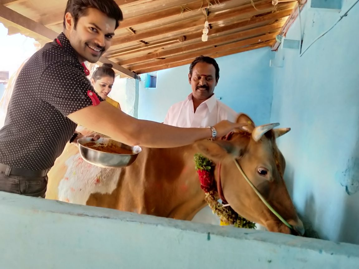 சின்னமனூரில் மாட்டுப் பொங்கல் கொண்டாடிய கணேஷ் வெங்கட்ராம் - நிஷா..! சின்னமனூரில் மாட்டுப் பொங்கல் கொண்டாடிய கணேஷ் வெங்கட்ராம் - நிஷா..!