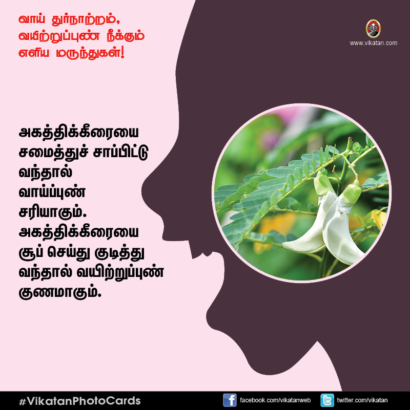 சங்கடம் தரும் வாய் துர்நாற்றம், வயிற்றுப்புண் நீக்கும் எளிய வழிமுறைகள்! #VikatanPhotoCards சங்கடம் தரும் வாய் துர்நாற்றம், வயிற்றுப்புண் நீக்கும் எளிய வழிமுறைகள்! #VikatanPhotoCards