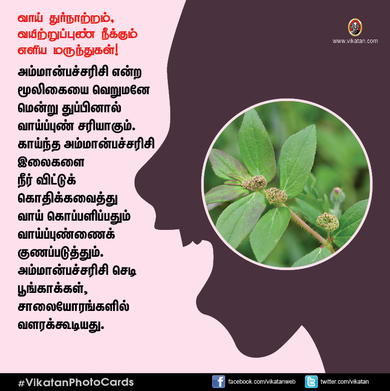 சங்கடம் தரும் வாய் துர்நாற்றம், வயிற்றுப்புண் நீக்கும் எளிய வழிமுறைகள்! #VikatanPhotoCards சங்கடம் தரும் வாய் துர்நாற்றம், வயிற்றுப்புண் நீக்கும் எளிய வழிமுறைகள்! #VikatanPhotoCards