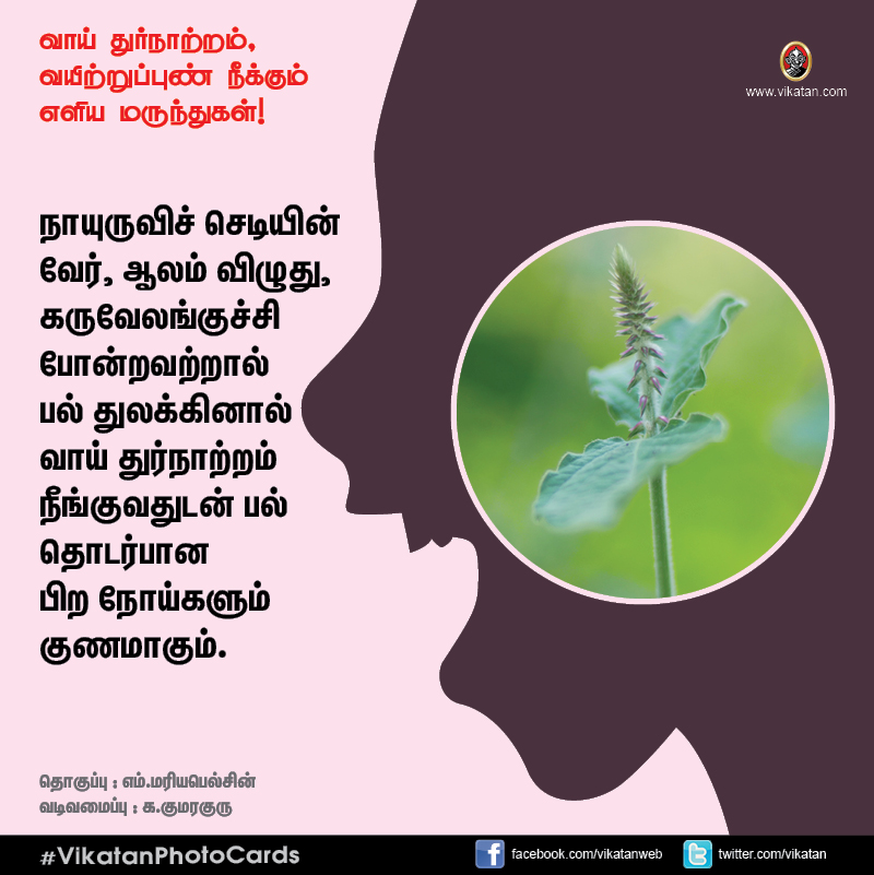 சங்கடம் தரும் வாய் துர்நாற்றம், வயிற்றுப்புண் நீக்கும் எளிய வழிமுறைகள்! #VikatanPhotoCards சங்கடம் தரும் வாய் துர்நாற்றம், வயிற்றுப்புண் நீக்கும் எளிய வழிமுறைகள்! #VikatanPhotoCards
