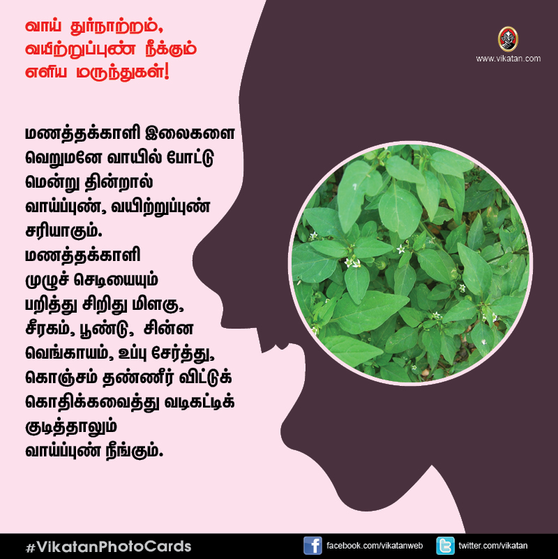 சங்கடம் தரும் வாய் துர்நாற்றம், வயிற்றுப்புண் நீக்கும் எளிய வழிமுறைகள்! #VikatanPhotoCards சங்கடம் தரும் வாய் துர்நாற்றம், வயிற்றுப்புண் நீக்கும் எளிய வழிமுறைகள்! #VikatanPhotoCards
