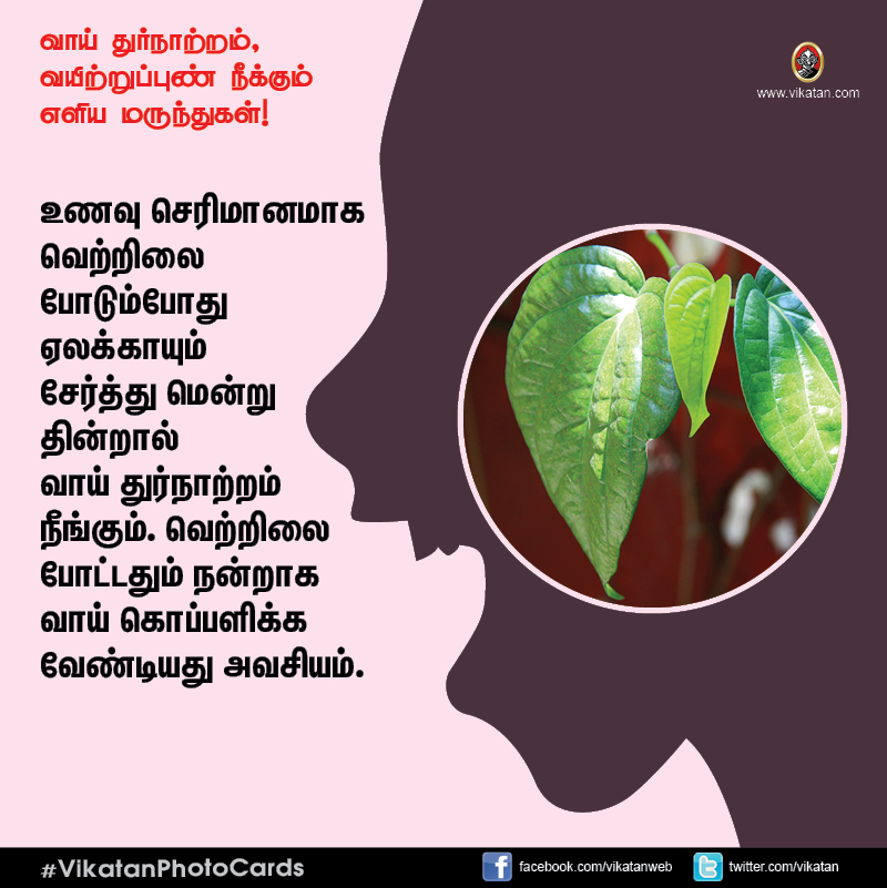சங்கடம் தரும் வாய் துர்நாற்றம், வயிற்றுப்புண் நீக்கும் எளிய வழிமுறைகள்! #VikatanPhotoCards சங்கடம் தரும் வாய் துர்நாற்றம், வயிற்றுப்புண் நீக்கும் எளிய வழிமுறைகள்! #VikatanPhotoCards