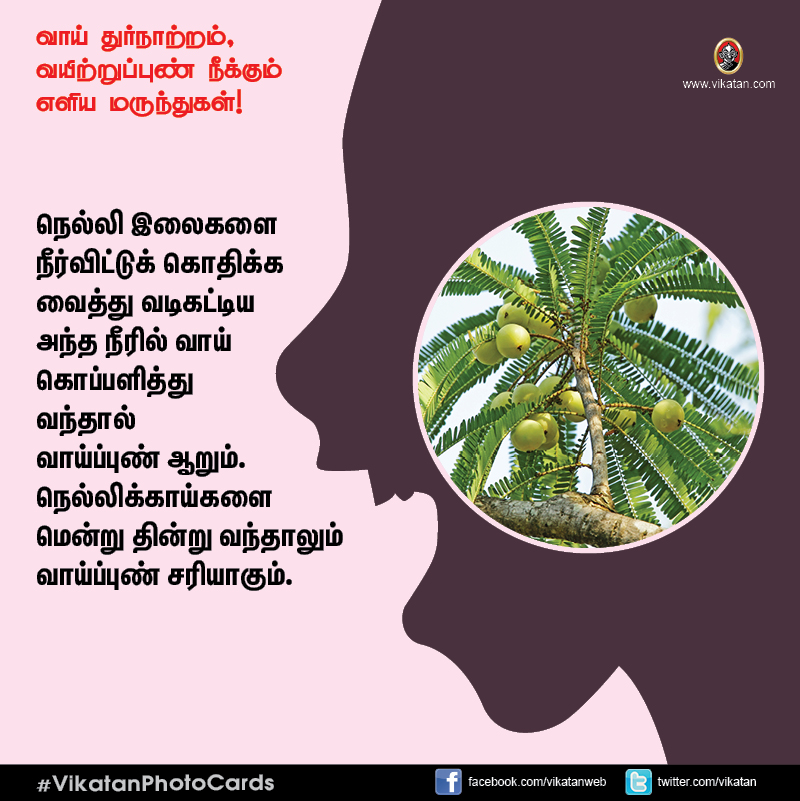 சங்கடம் தரும் வாய் துர்நாற்றம், வயிற்றுப்புண் நீக்கும் எளிய வழிமுறைகள்! #VikatanPhotoCards சங்கடம் தரும் வாய் துர்நாற்றம், வயிற்றுப்புண் நீக்கும் எளிய வழிமுறைகள்! #VikatanPhotoCards