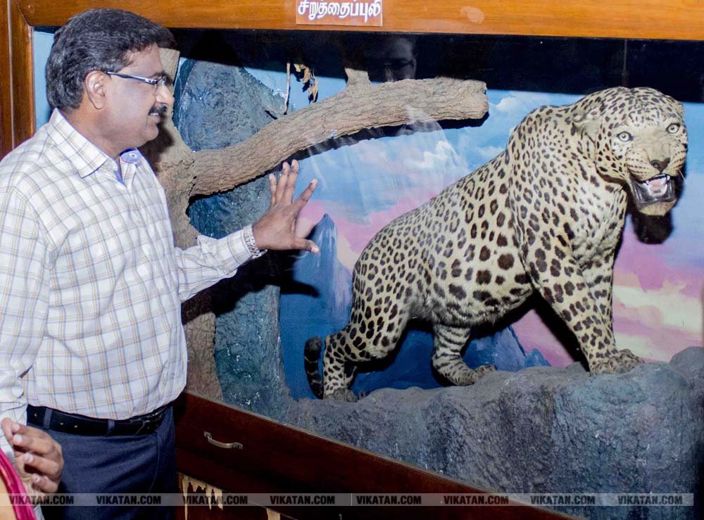 புதுக்கோட்டையில் ஏழை எளிய மாணவர்களுக்கான சுற்றுலா விழிப்புணர்வு நிகழ்வு ஒரு நாள் சுற்றுலா படங்கள் - அரவிந்த்.எம் புதுக்கோட்டையில் ஏழை எளிய மாணவர்களுக்கான சுற்றுலா விழிப்புணர்வு நிகழ்வு ஒரு நாள் சுற்றுலா படங்கள் - அரவிந்த்.எம்