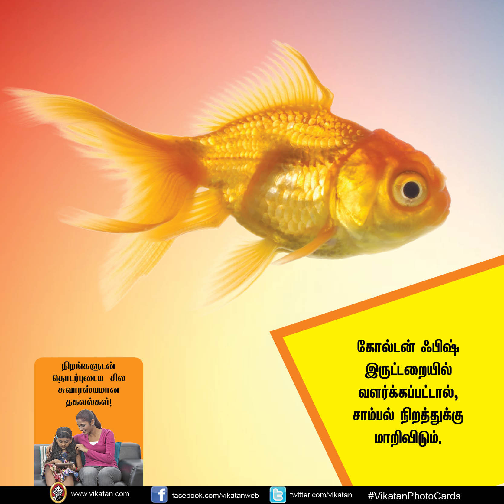 நிறங்கள் பற்றி குழந்தைகள் அறிய வேண்டிய 12 சுவாரஸ்யங்கள்! #Vikatan PhotoCards நிறங்கள் பற்றி குழந்தைகள் அறிய வேண்டிய 12 சுவாரஸ்யங்கள்! #Vikatan PhotoCards
