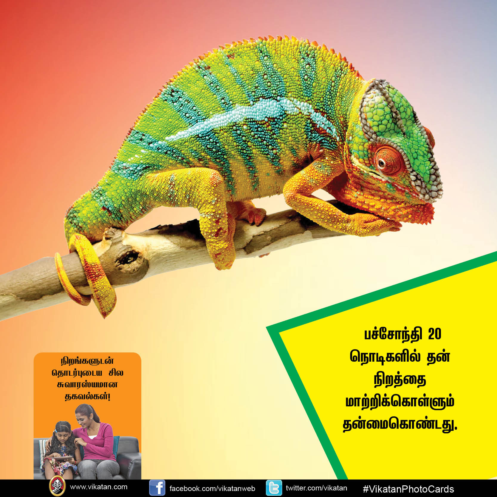 நிறங்கள் பற்றி குழந்தைகள் அறிய வேண்டிய 12 சுவாரஸ்யங்கள்! #Vikatan PhotoCards நிறங்கள் பற்றி குழந்தைகள் அறிய வேண்டிய 12 சுவாரஸ்யங்கள்! #Vikatan PhotoCards